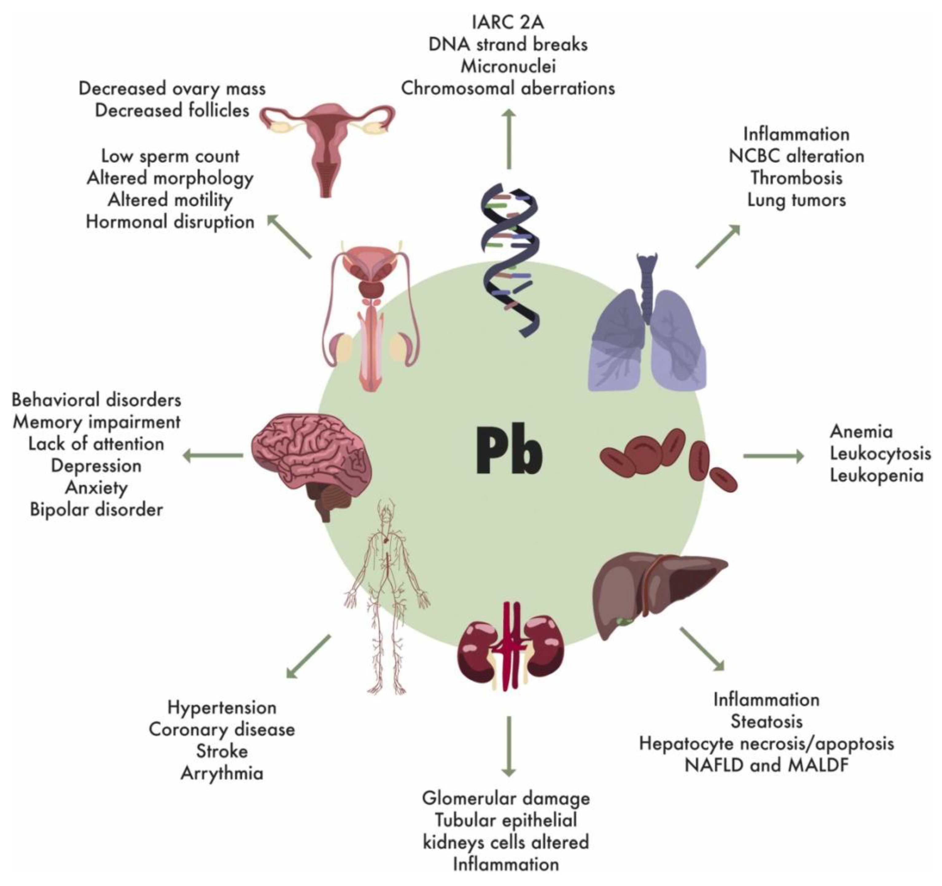 Preprints 168349 g005