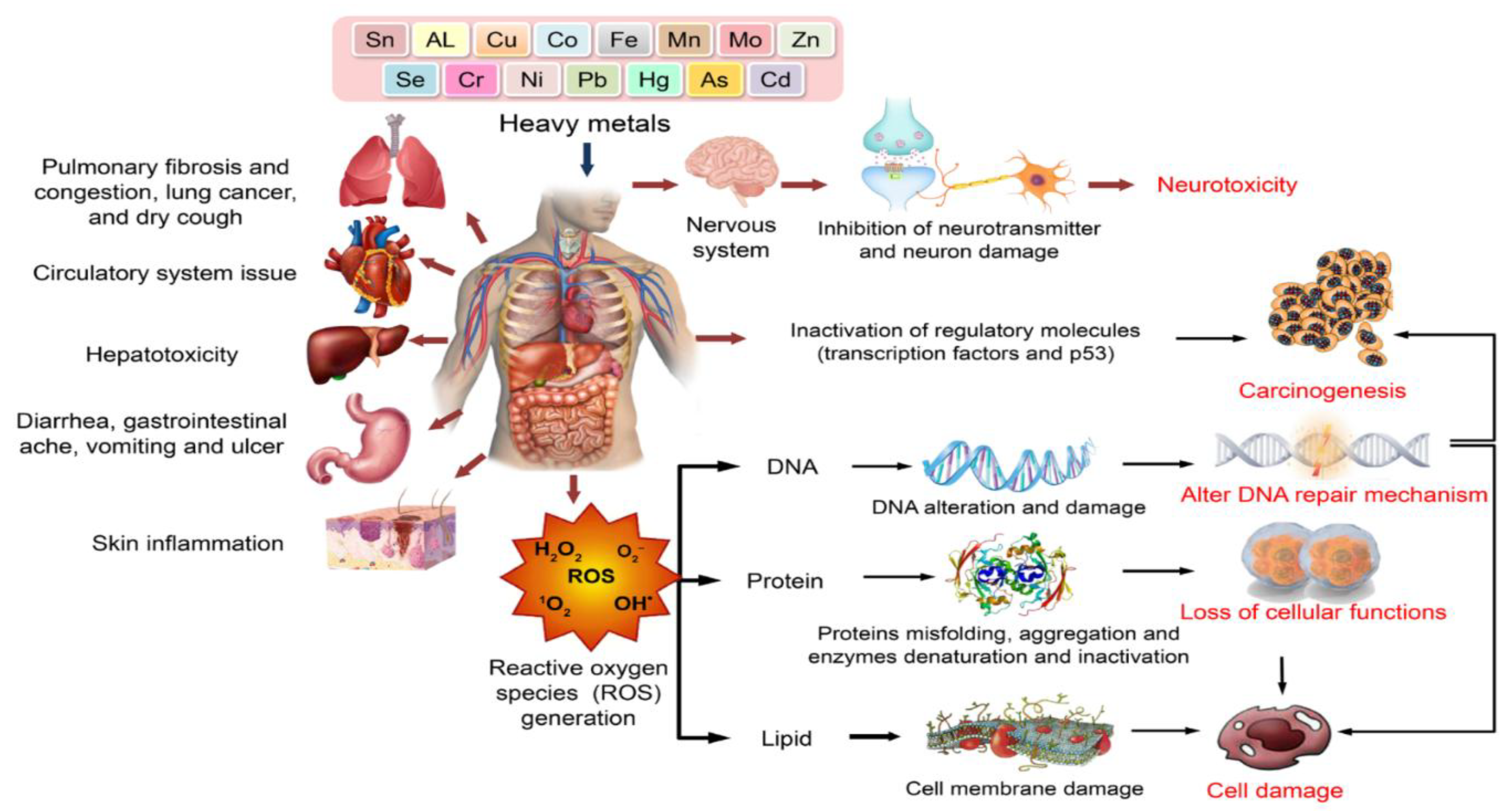 Preprints 168349 g007