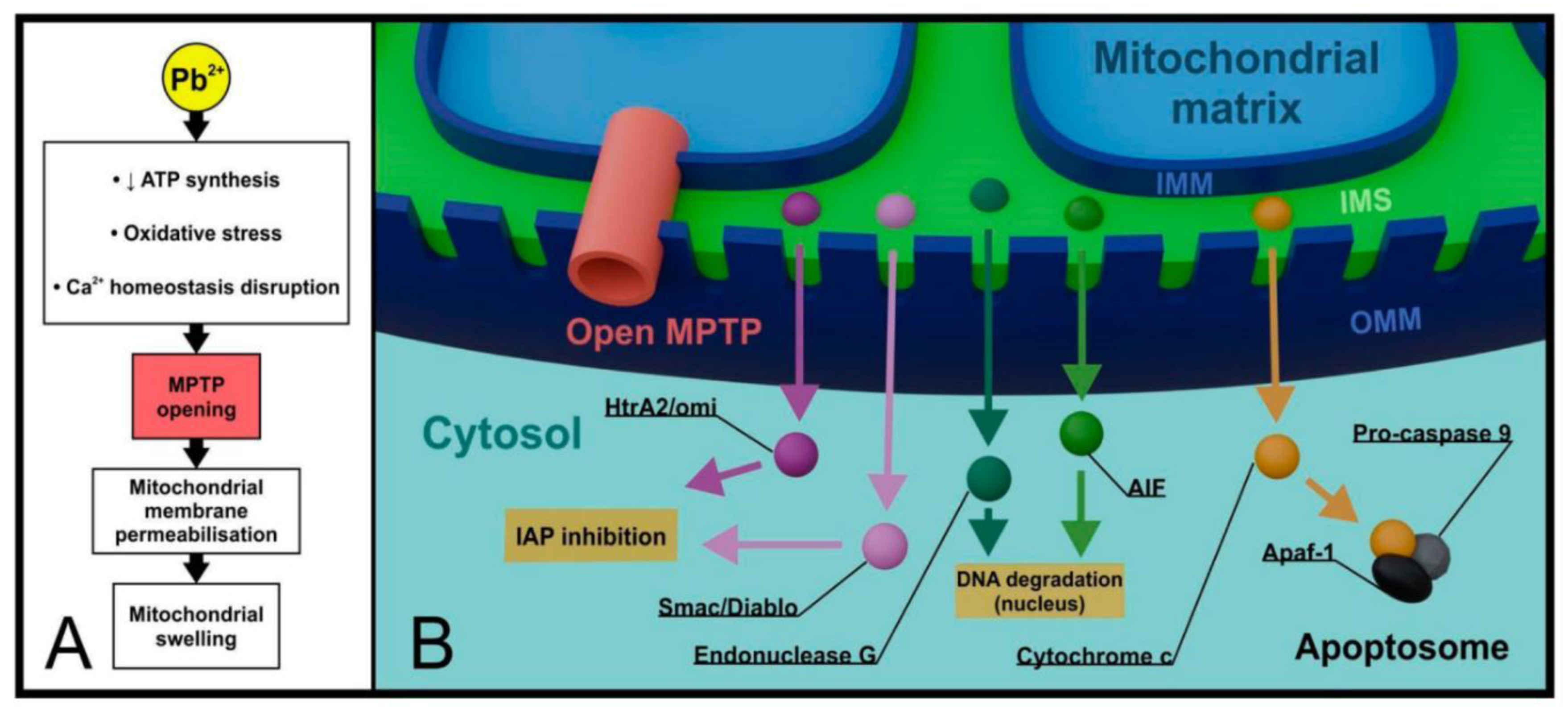 Preprints 168349 g008