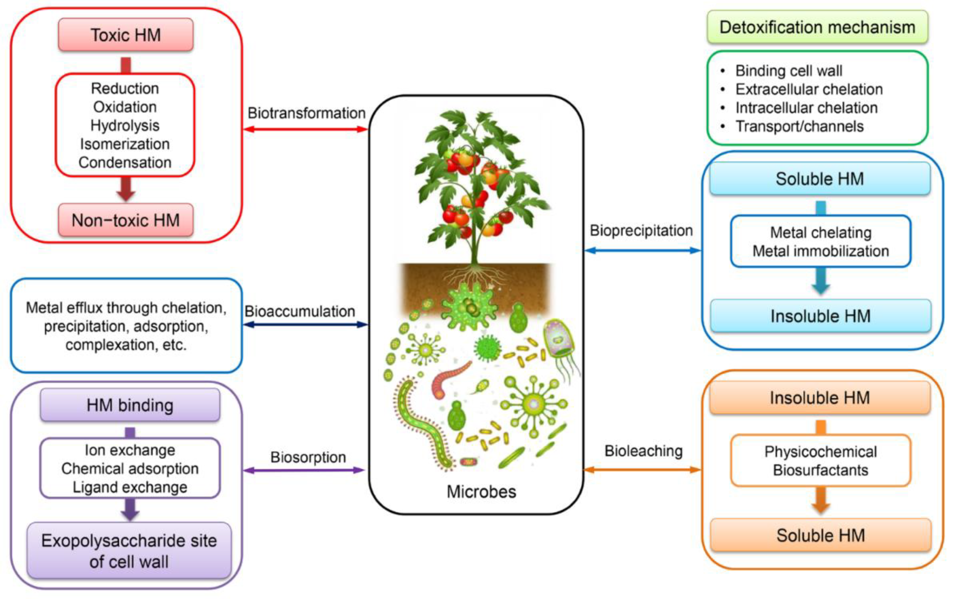 Preprints 168349 g009