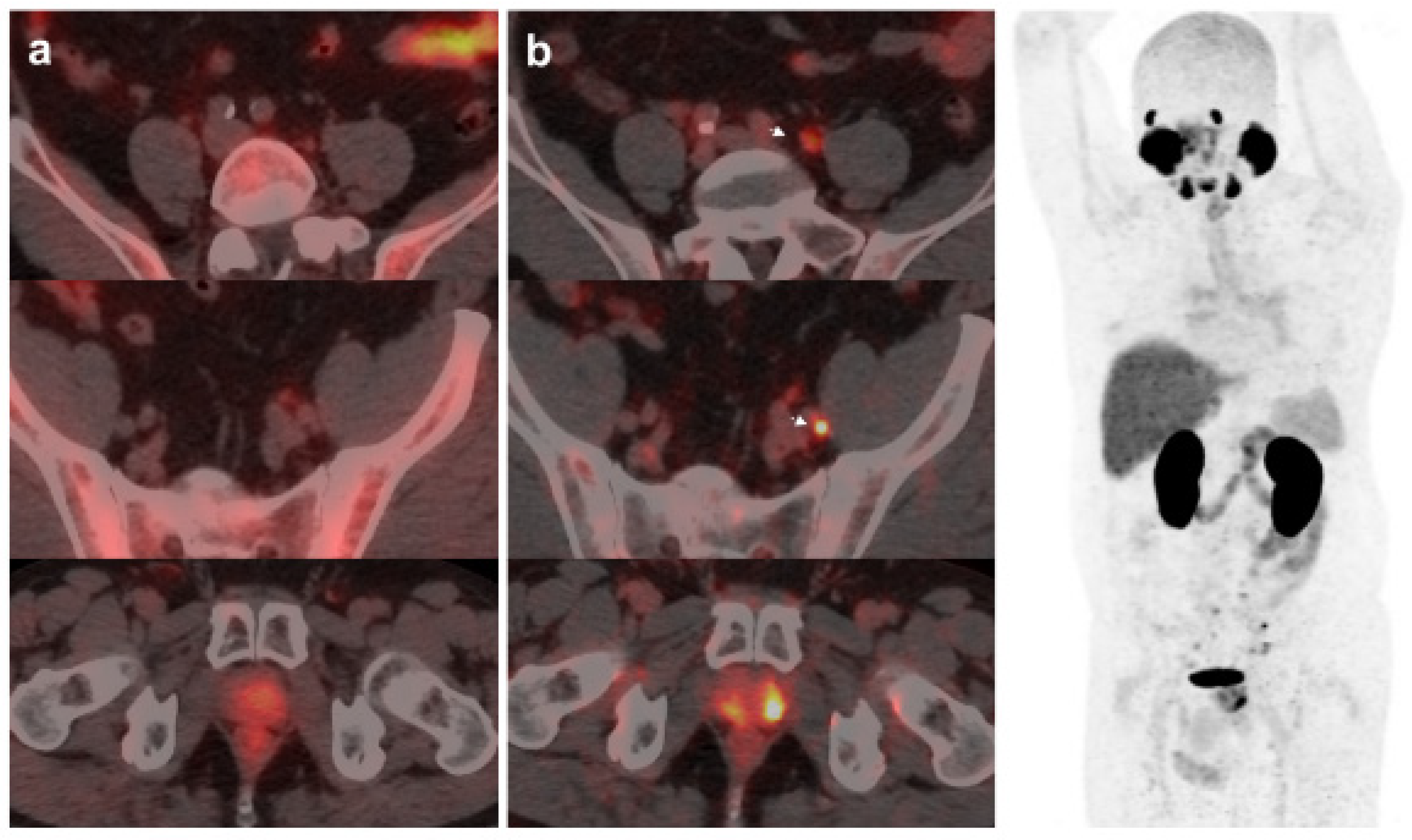 Preprints 74980 g001