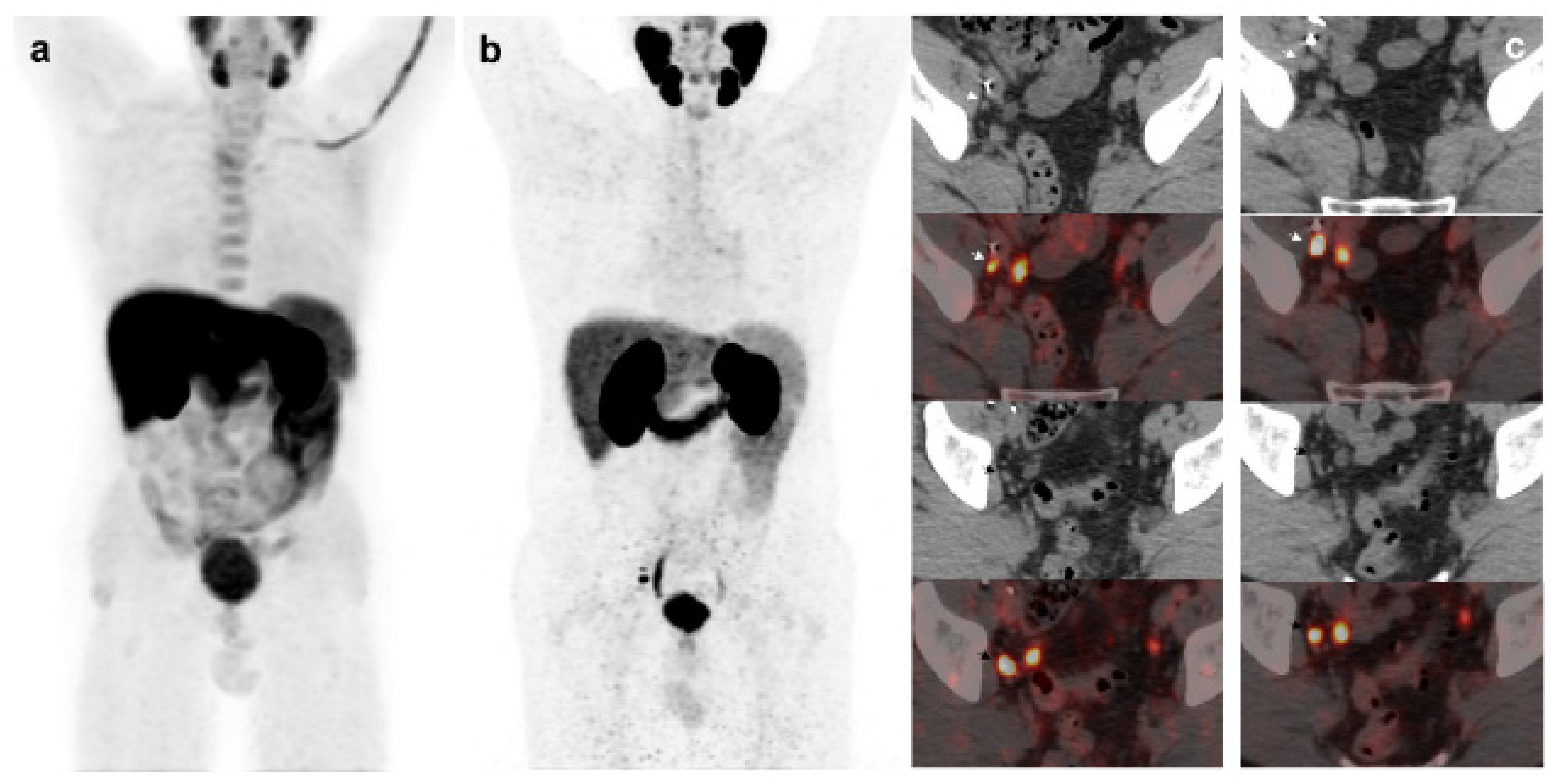 Preprints 74980 g003
