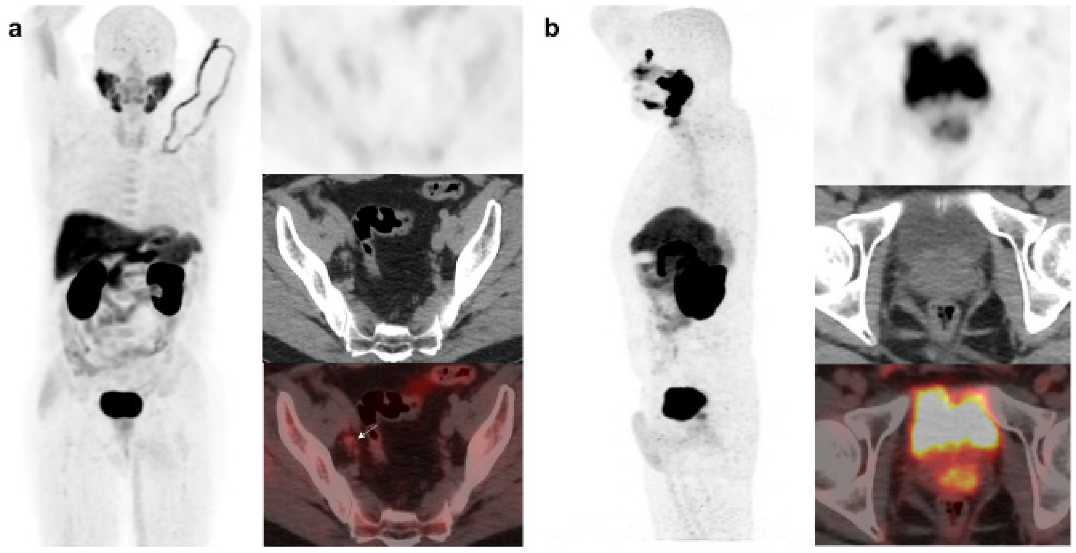 Preprints 74980 g006