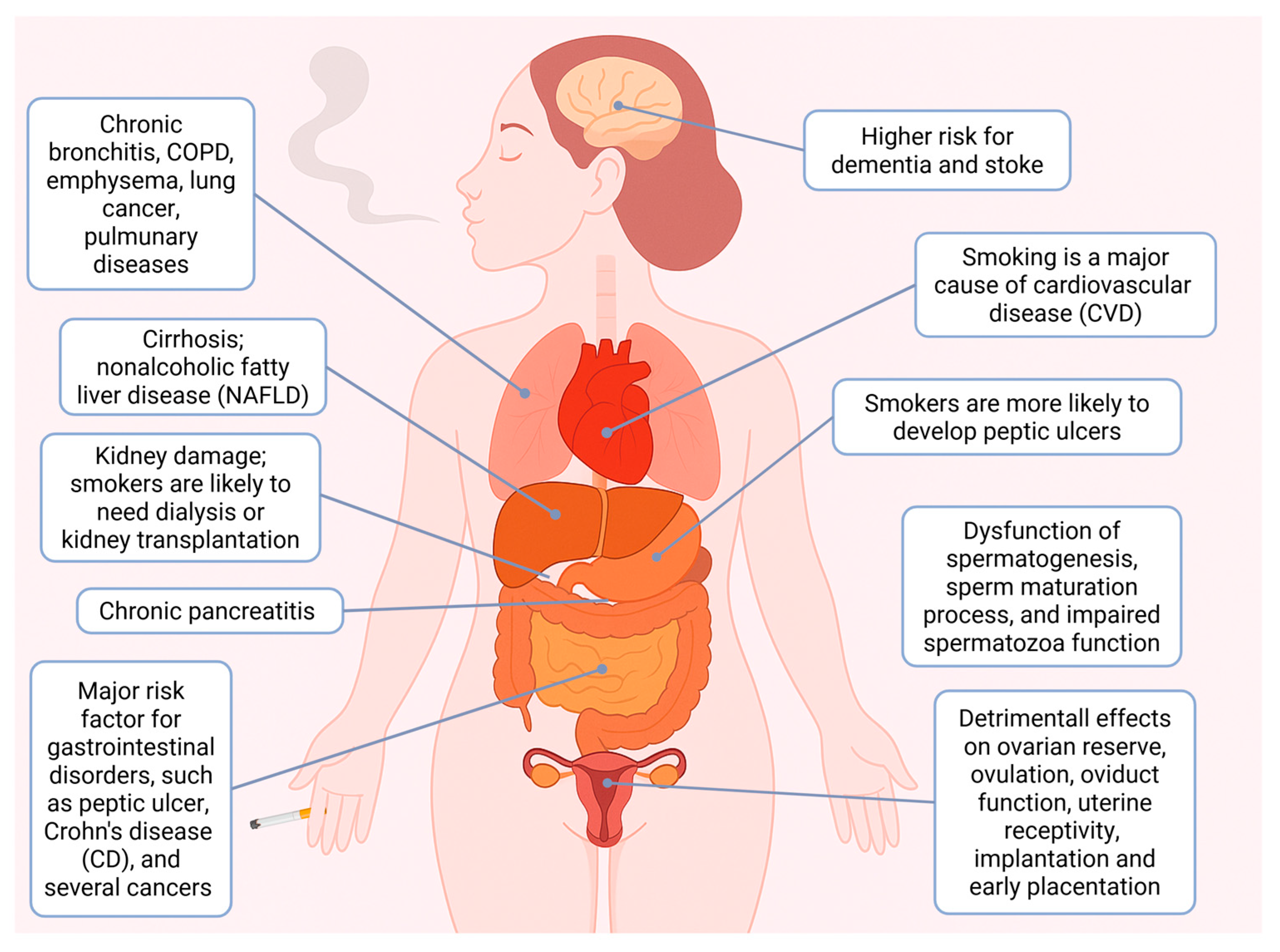 Preprints 170306 g001