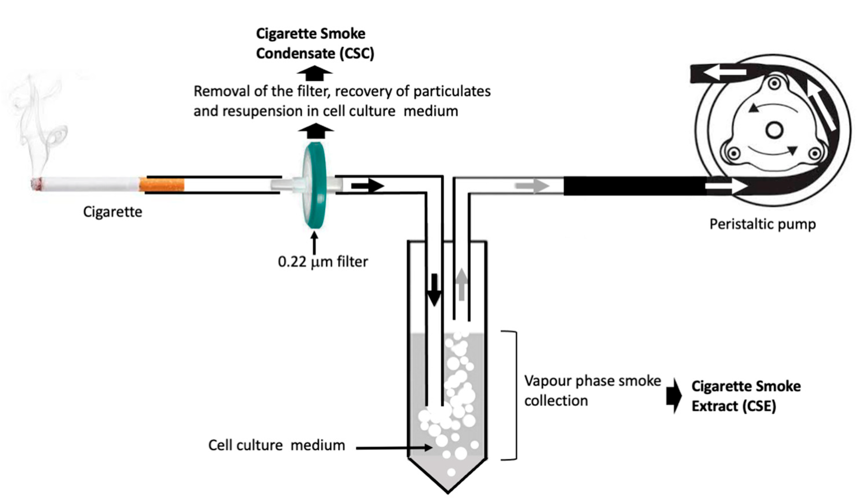 Preprints 170306 g002