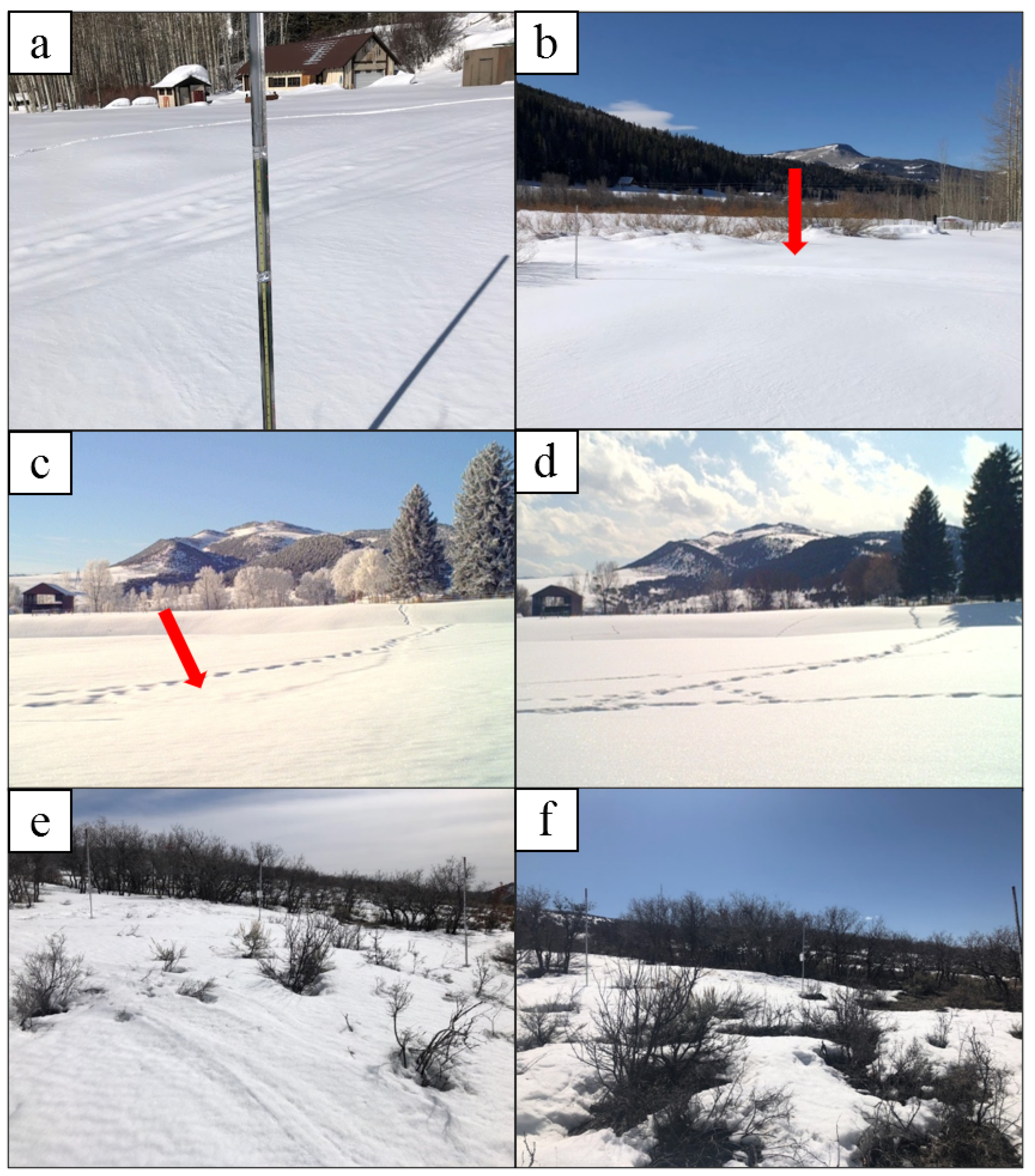 Preprints 176035 g005