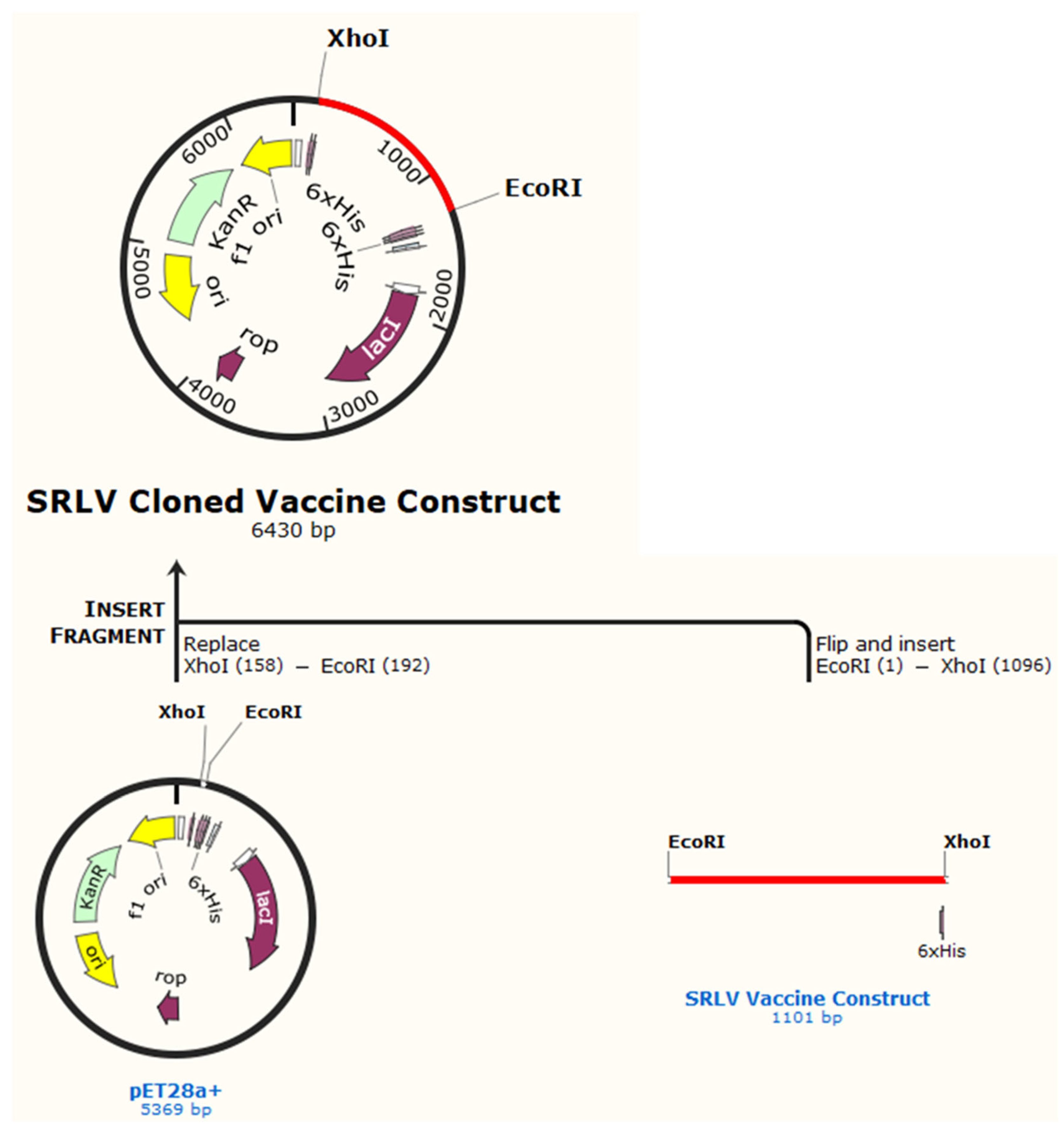 Preprints 174626 g005