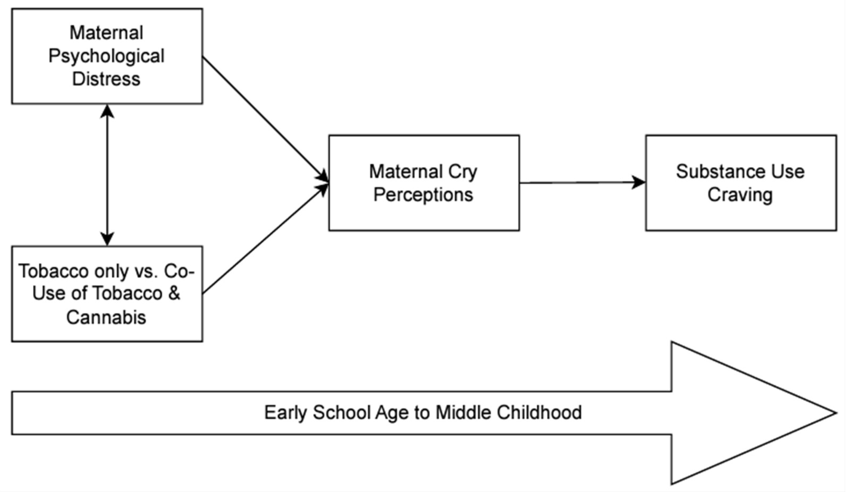 Preprints 154489 g001