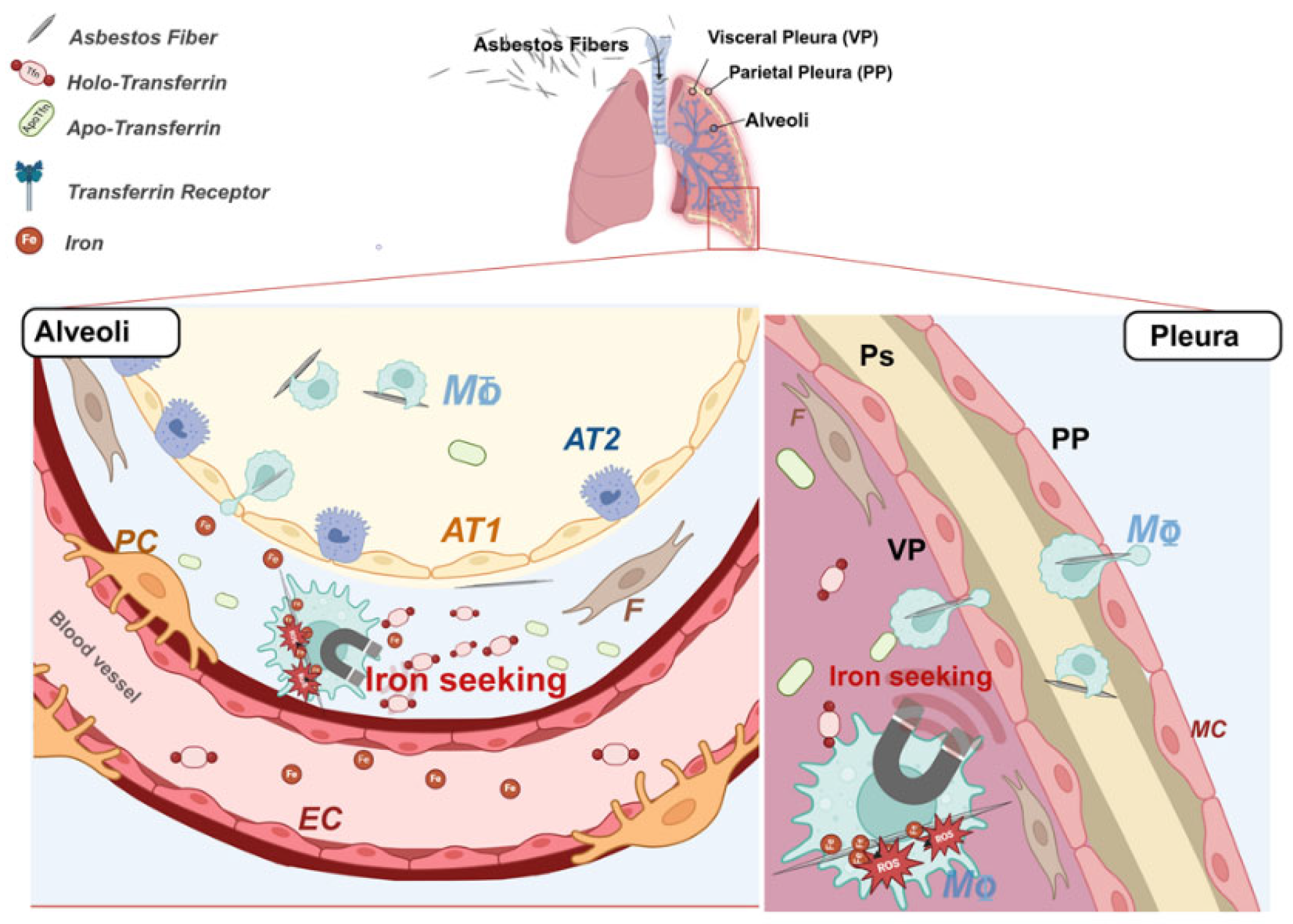 Preprints 148621 g001