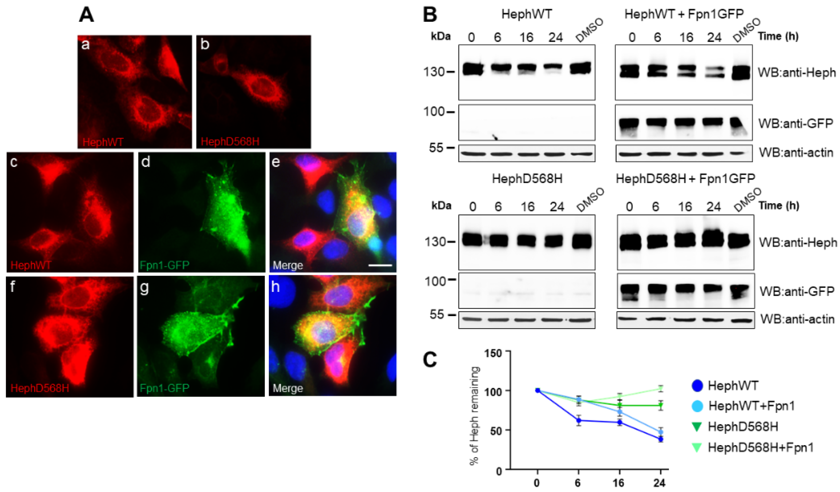 Preprints 148621 g002