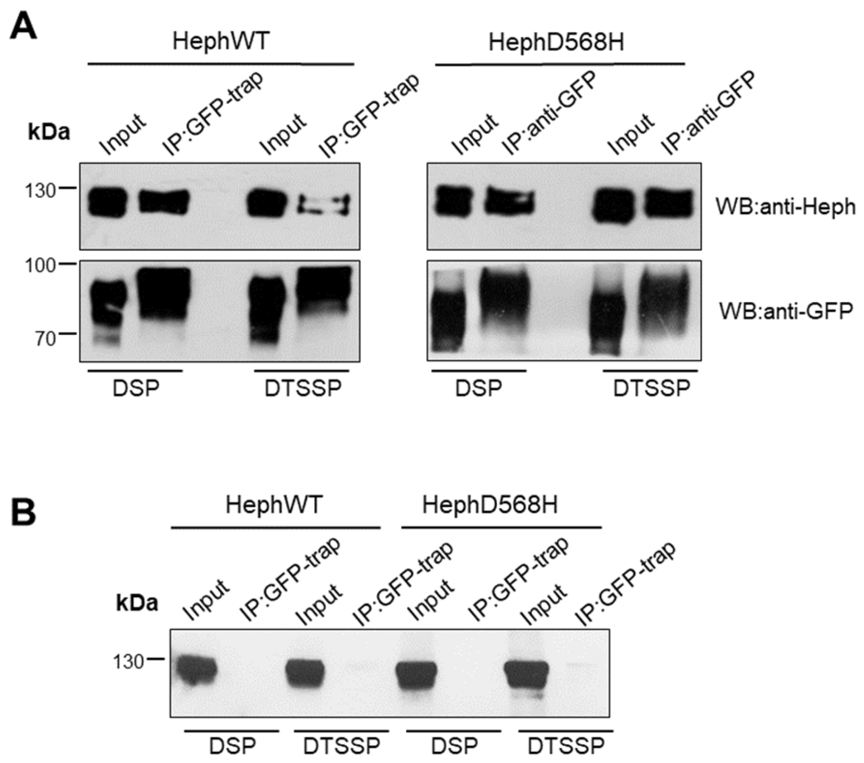 Preprints 148621 g003