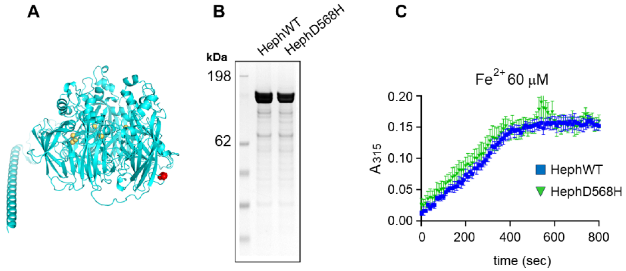 Preprints 148621 g004