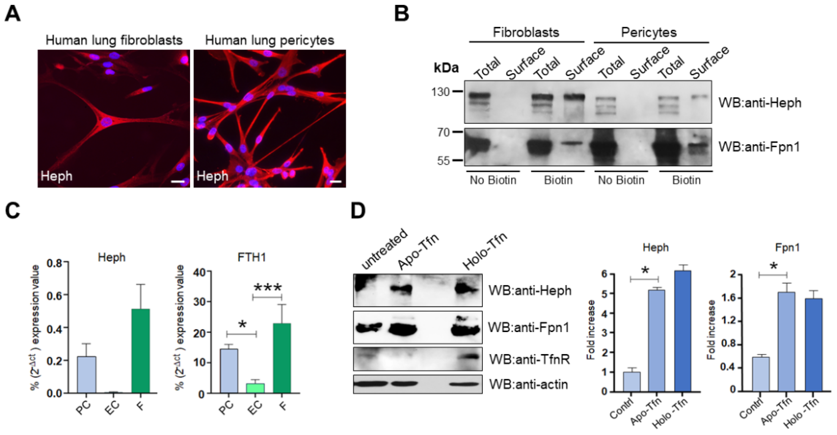 Preprints 148621 g007