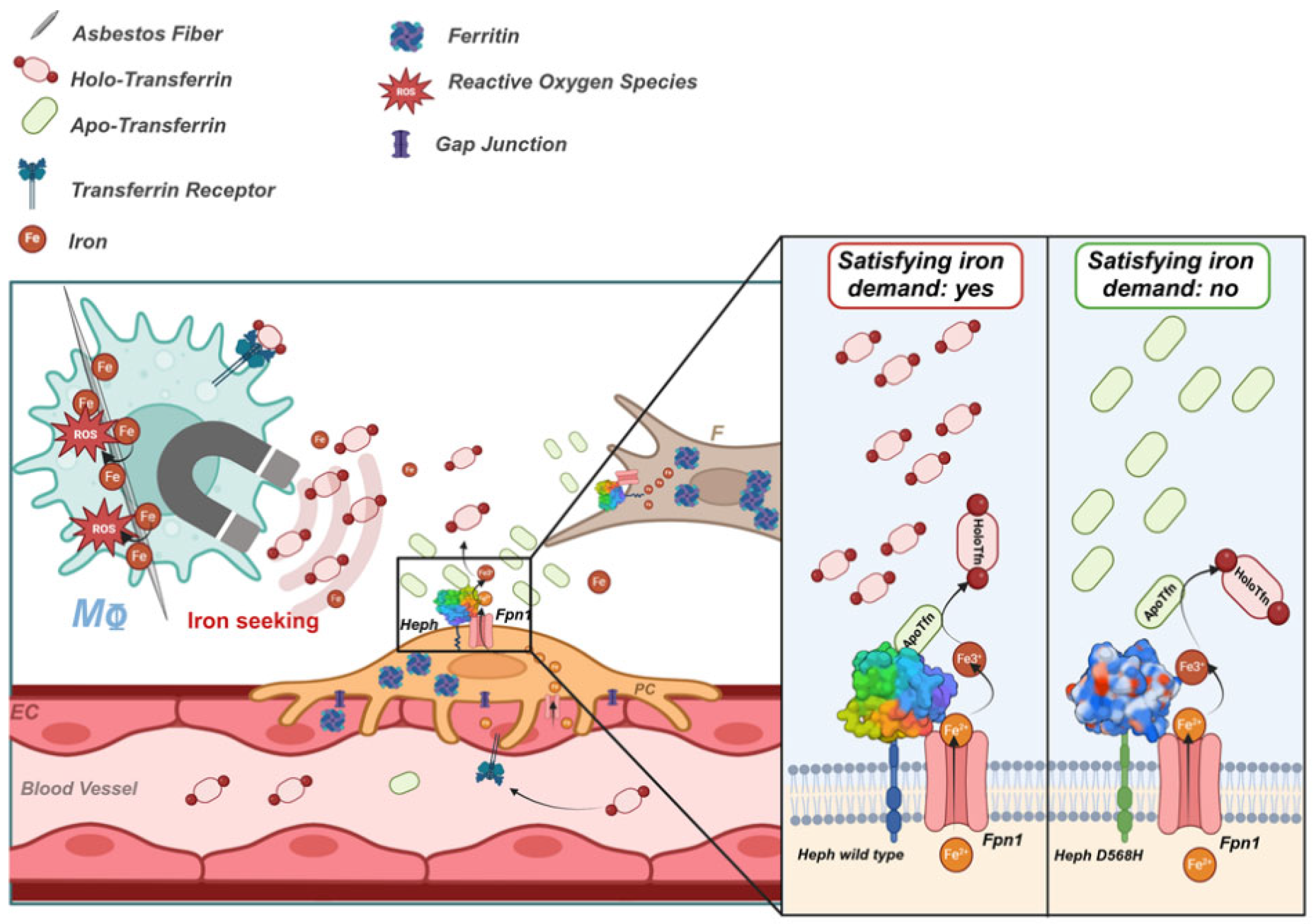 Preprints 148621 g008