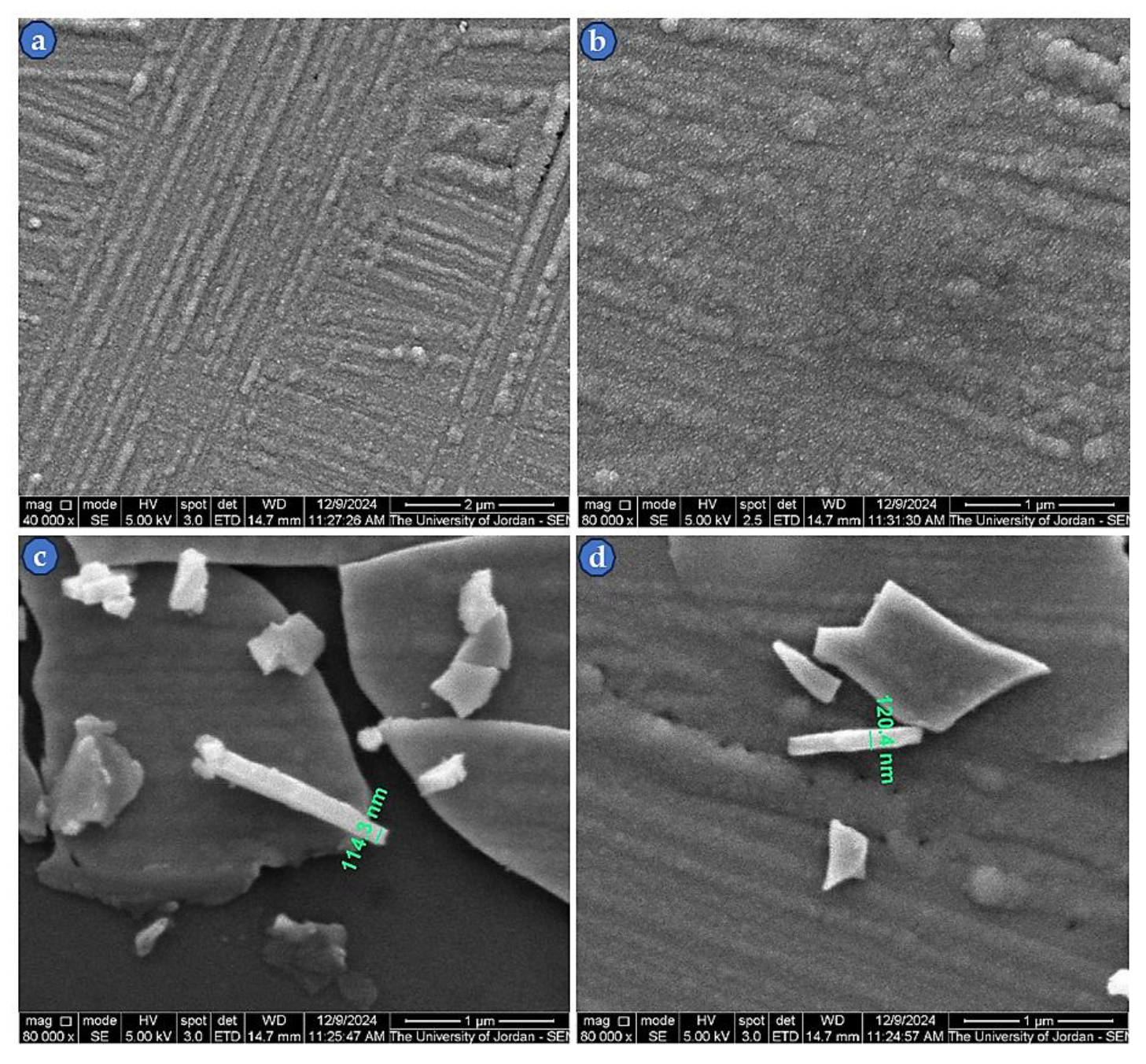 Preprints 151369 g007