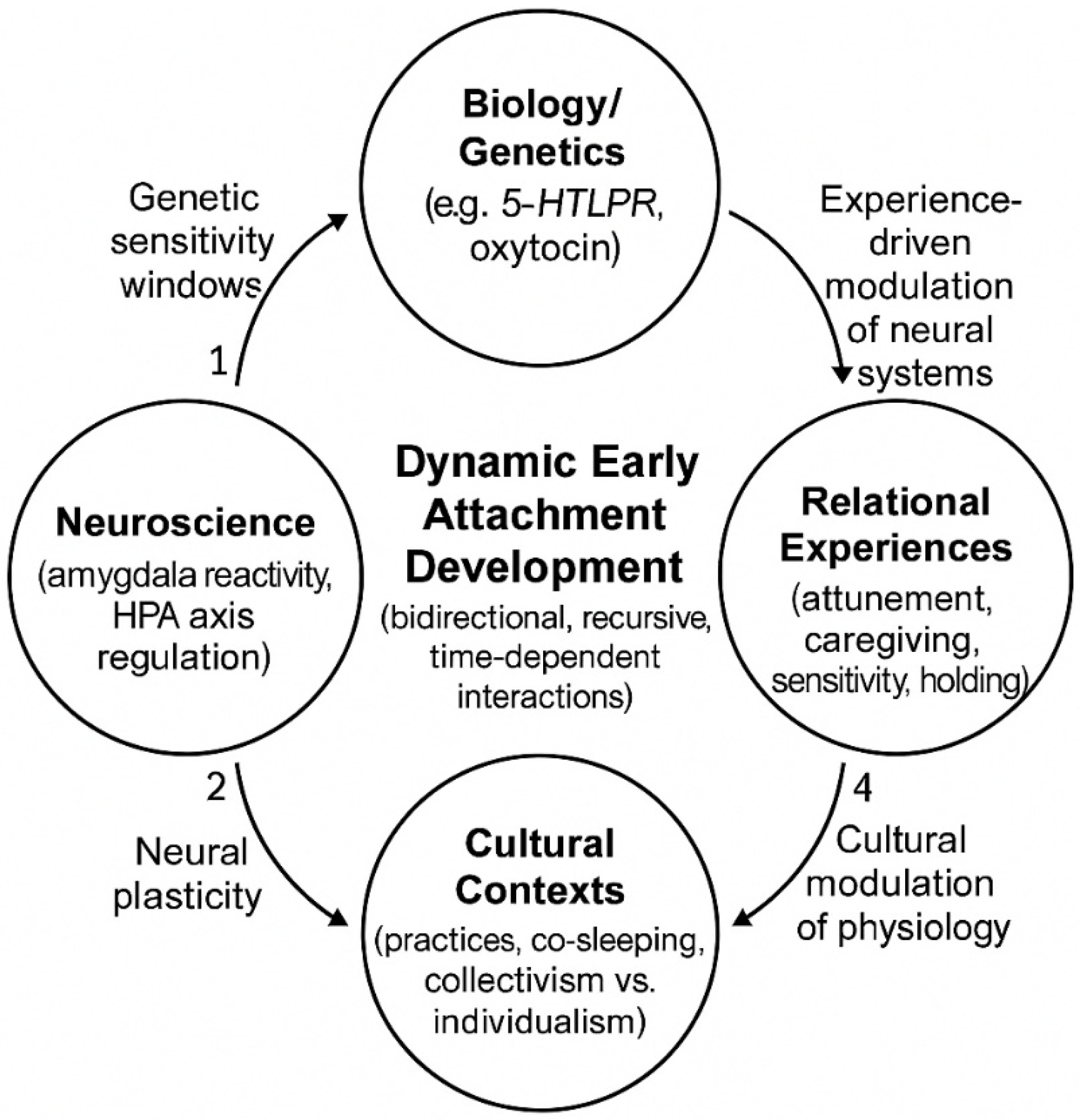 Preprints 198717 g001