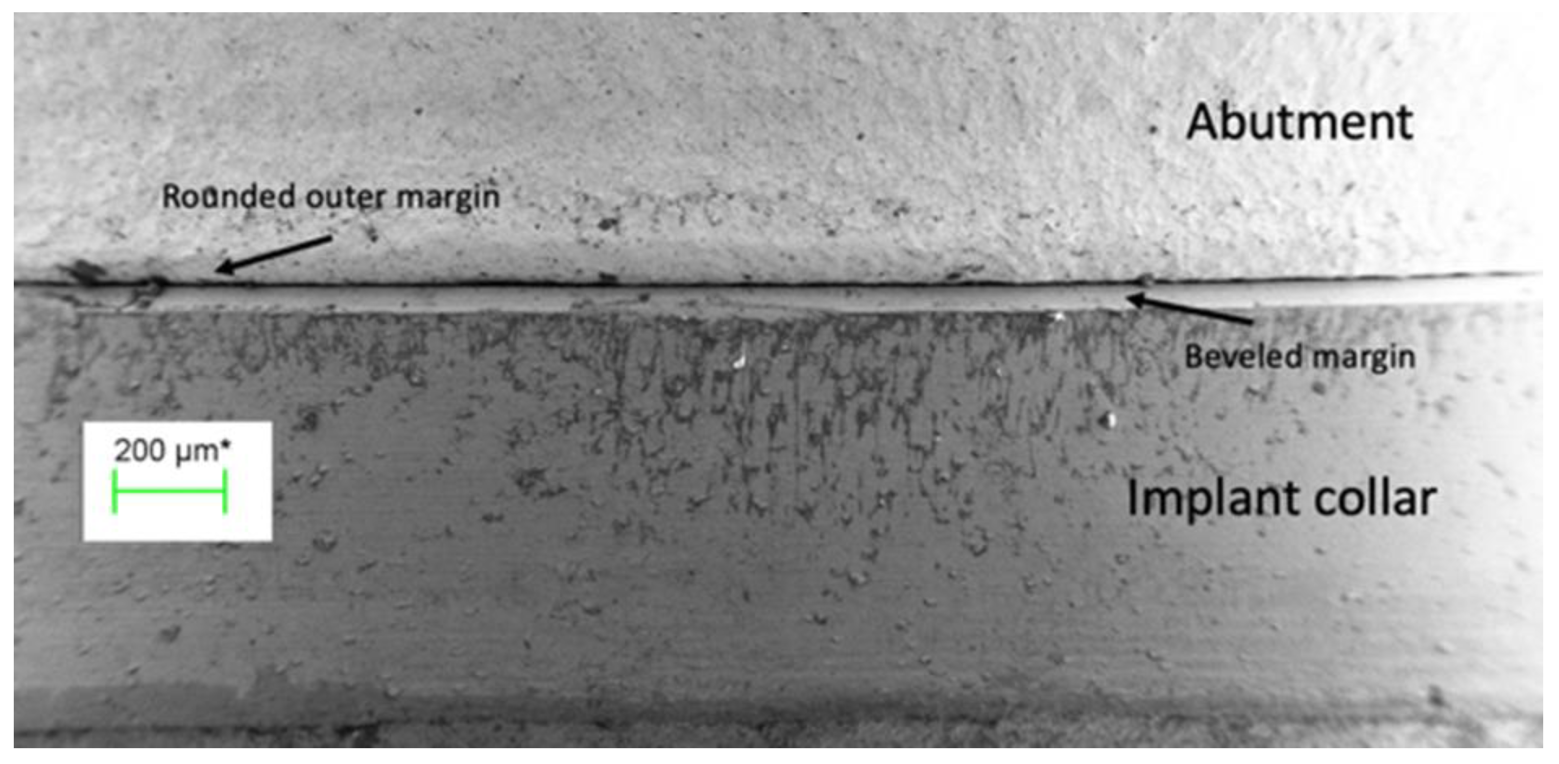 Preprints 89078 g002