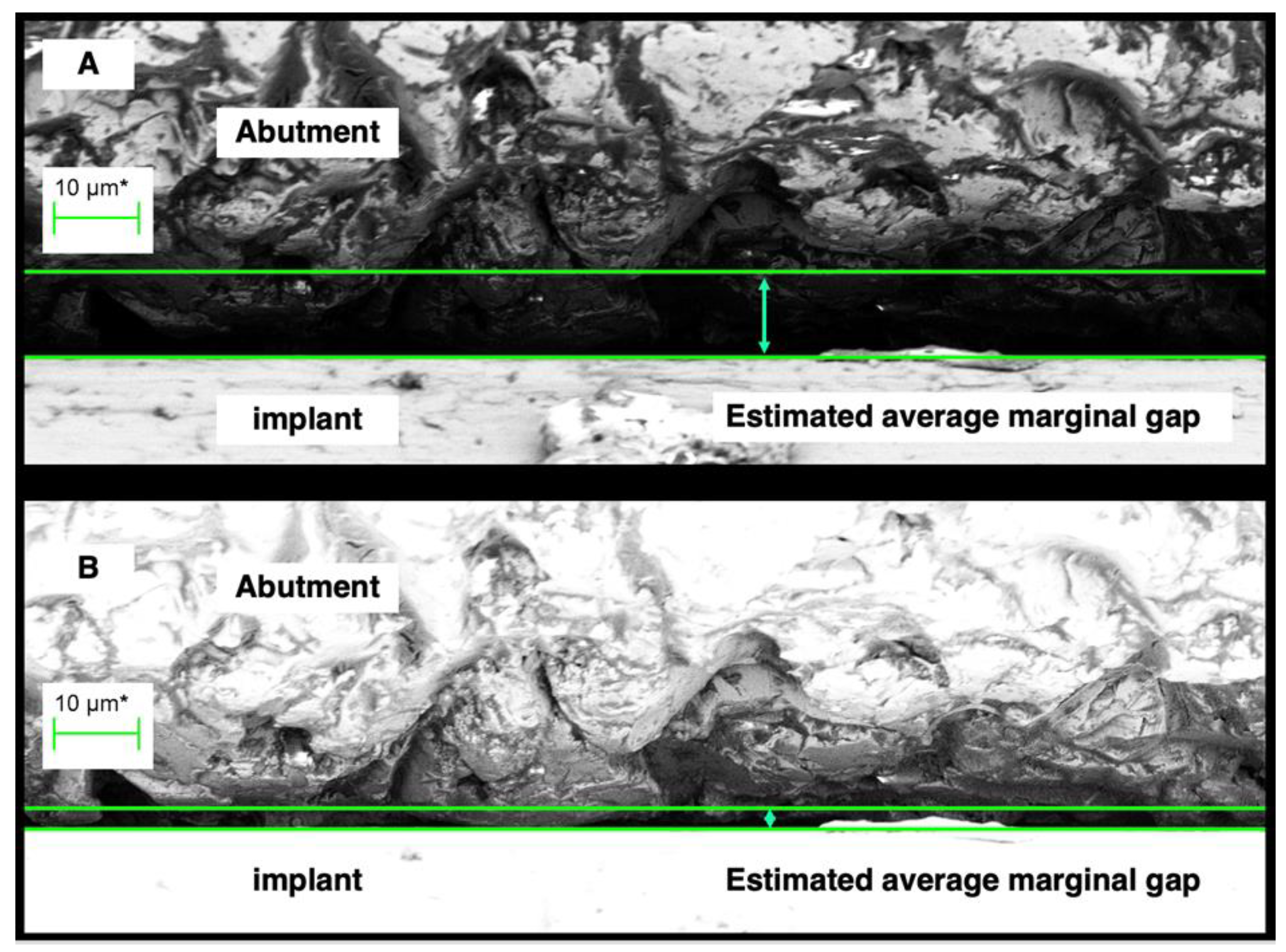 Preprints 89078 g003