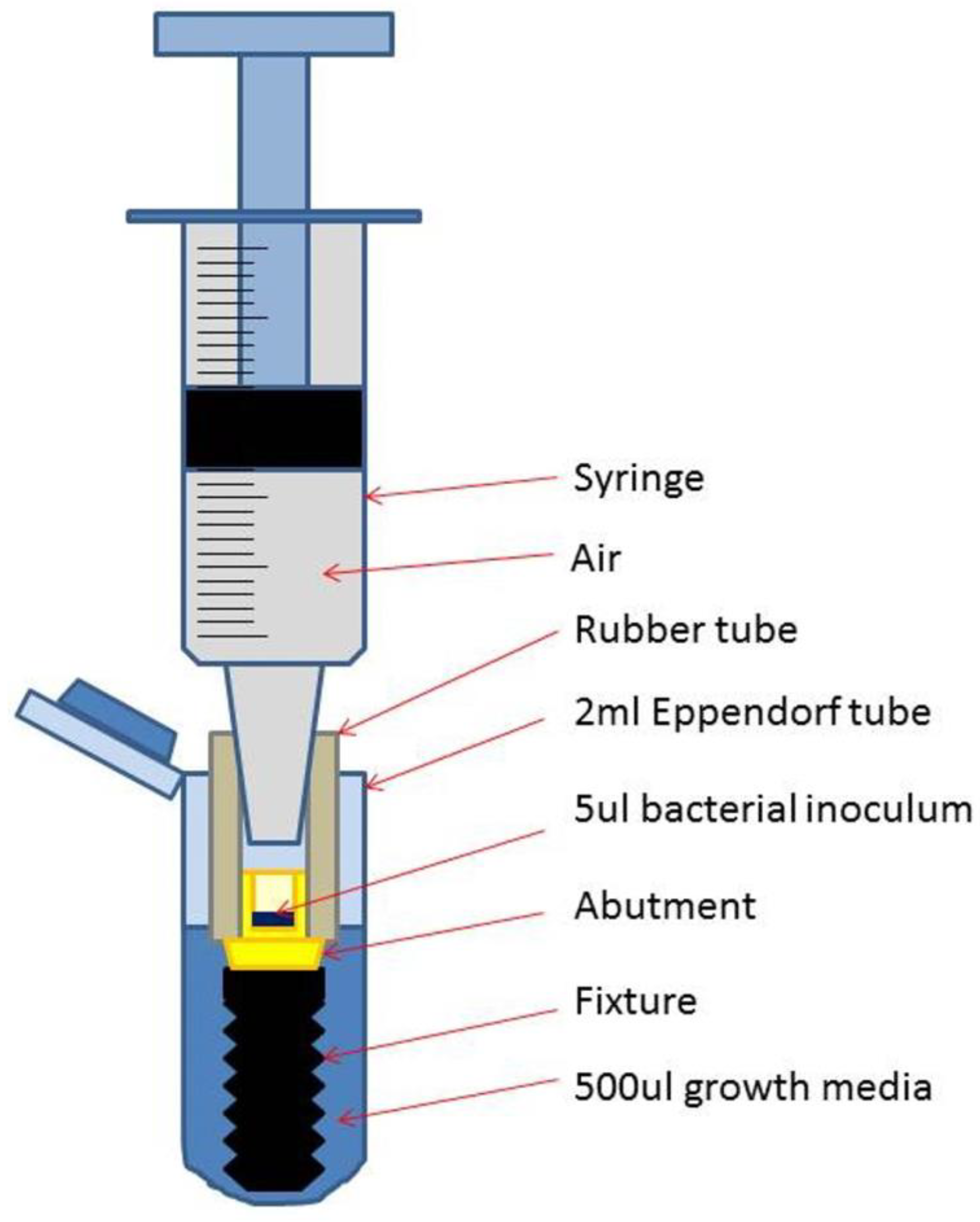 Preprints 89078 g004