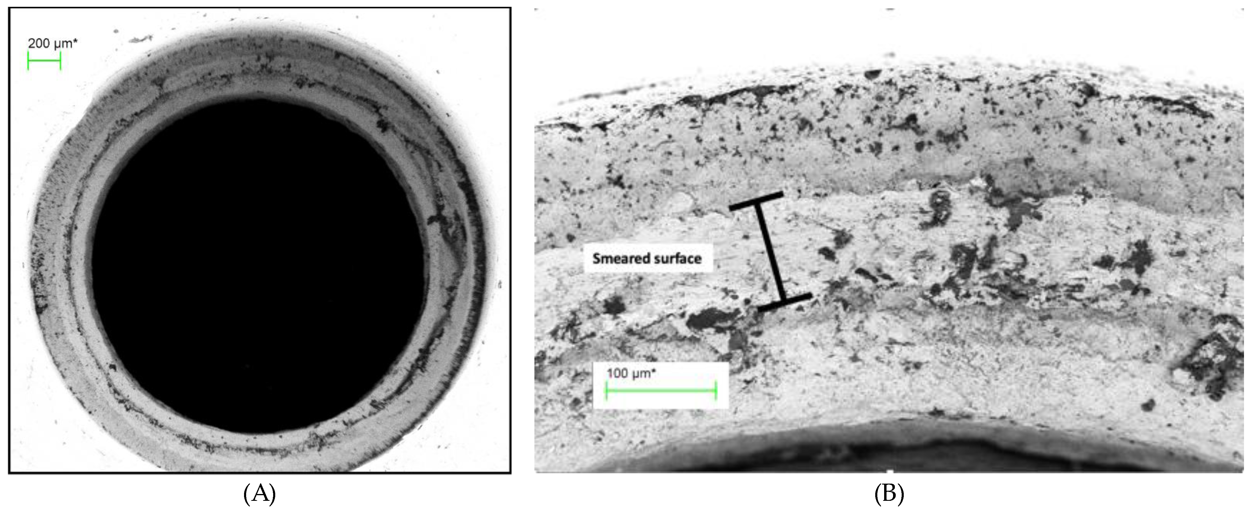 Preprints 89078 g007