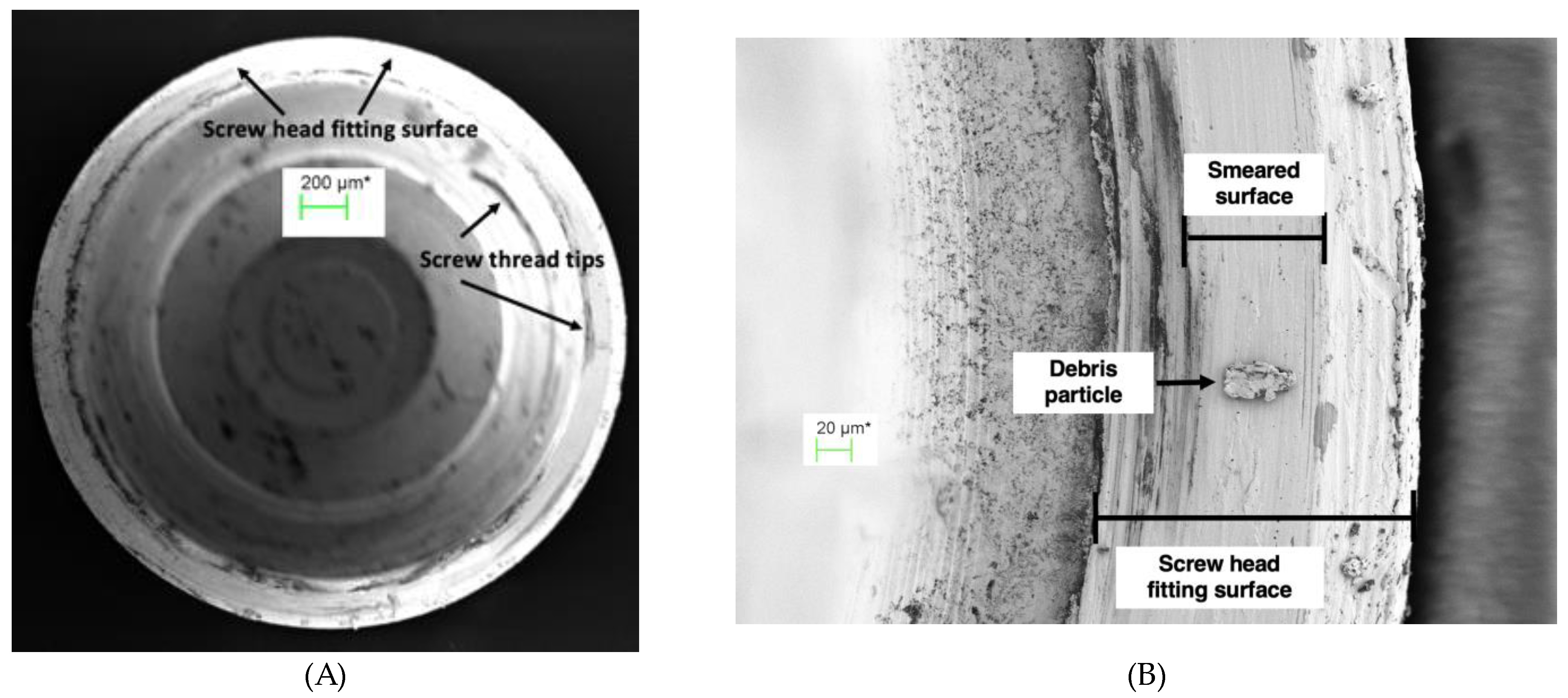 Preprints 89078 g008