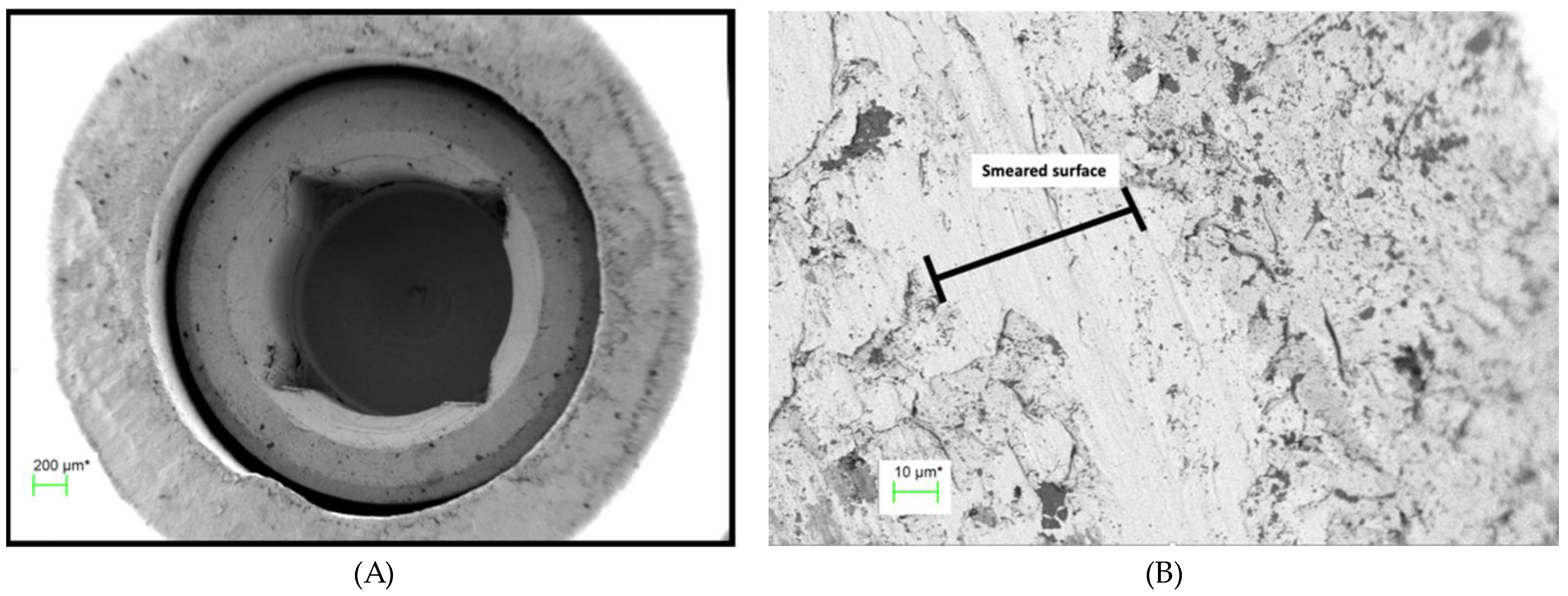 Preprints 89078 g009