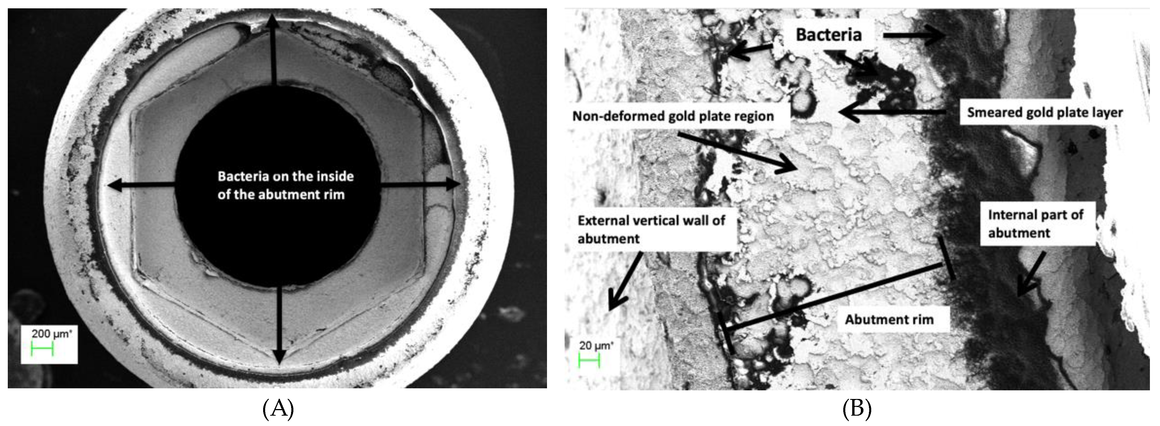 Preprints 89078 g010