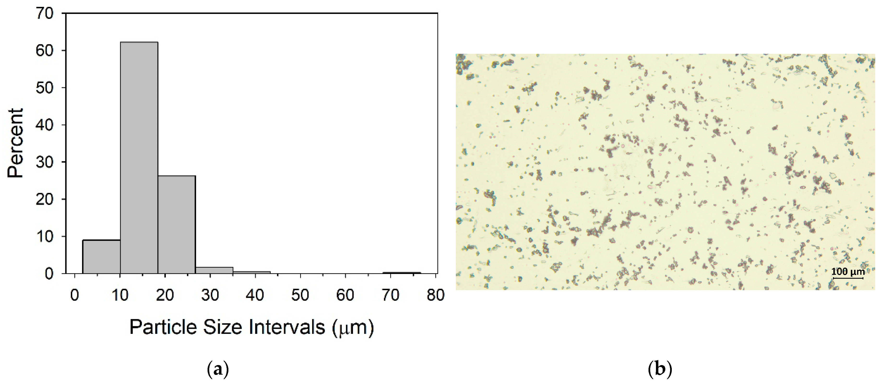 Preprints 100083 g001
