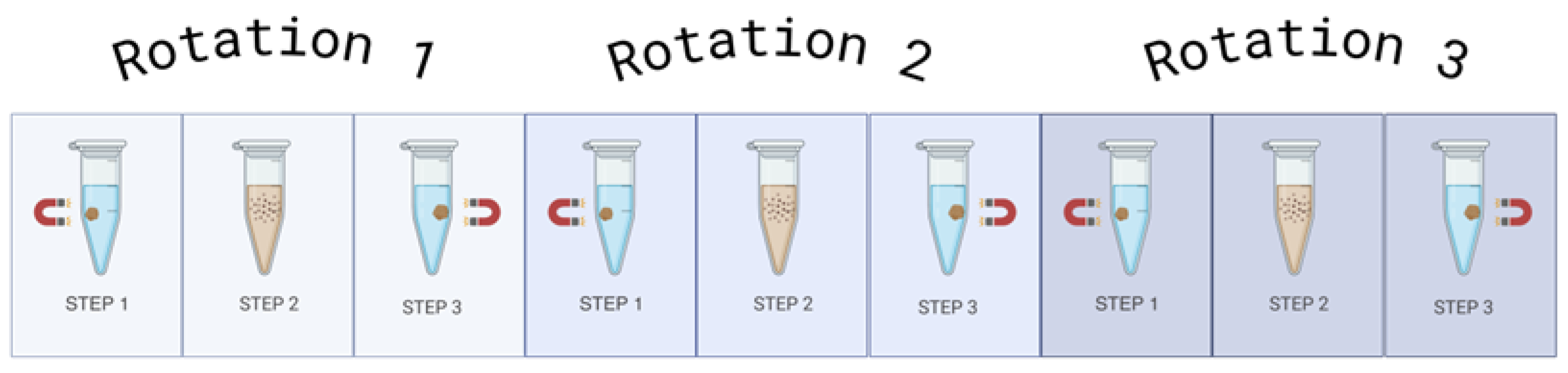 Preprints 141753 g001