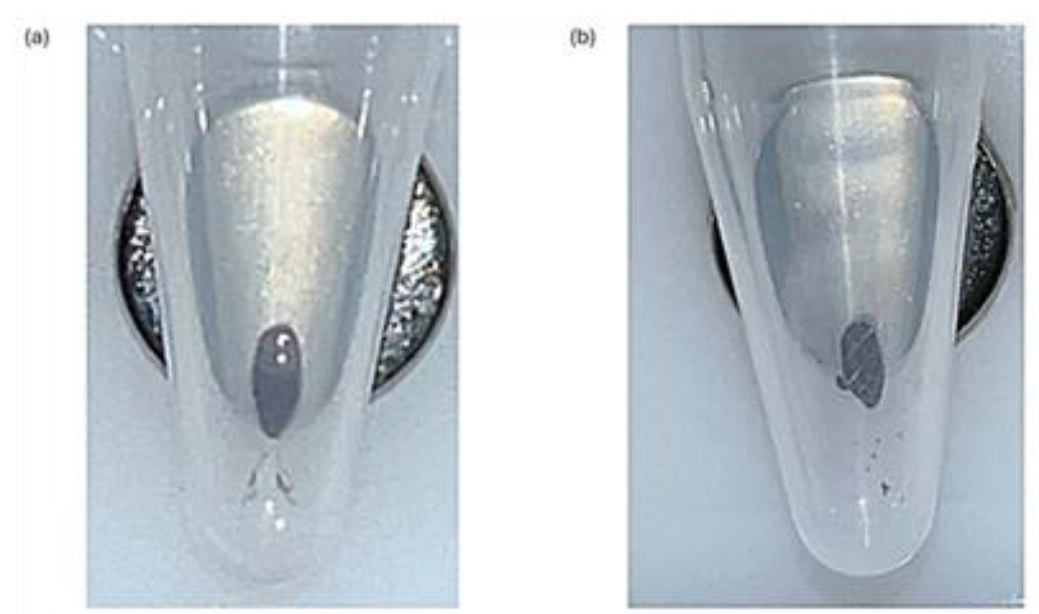 Preprints 141753 g002