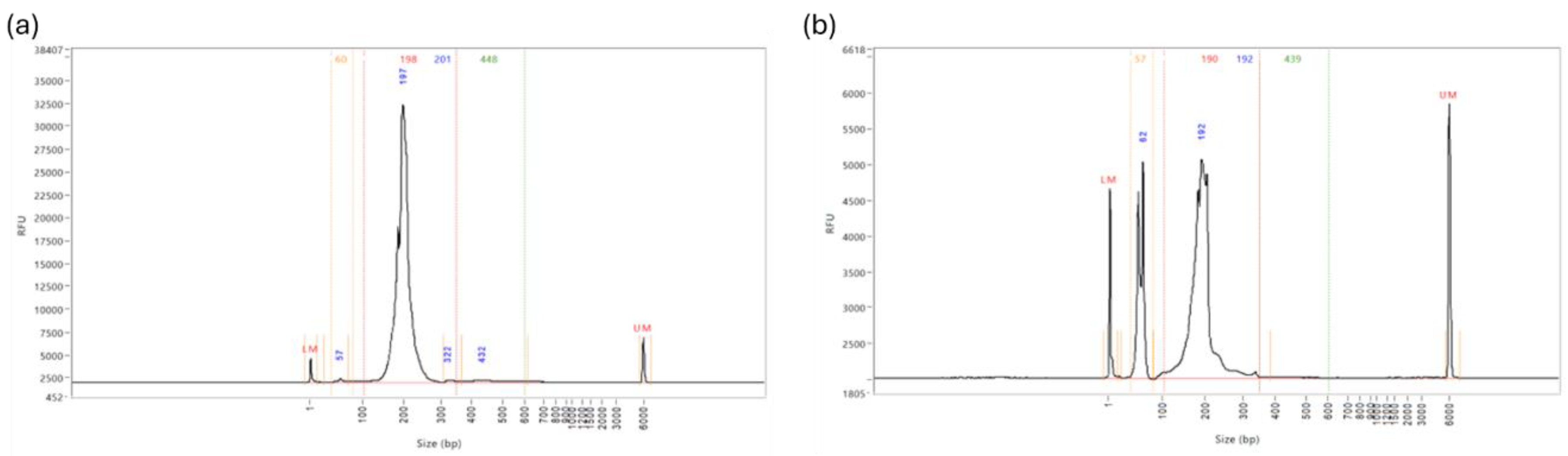 Preprints 141753 g015