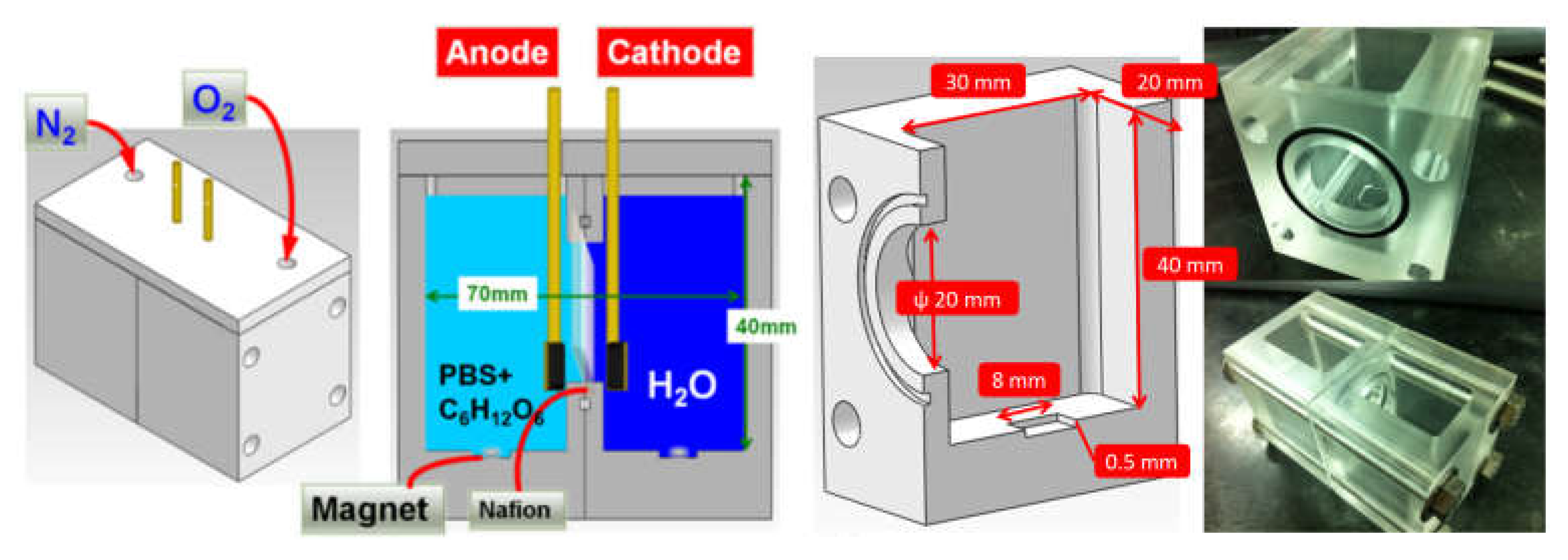 Preprints 147272 g008