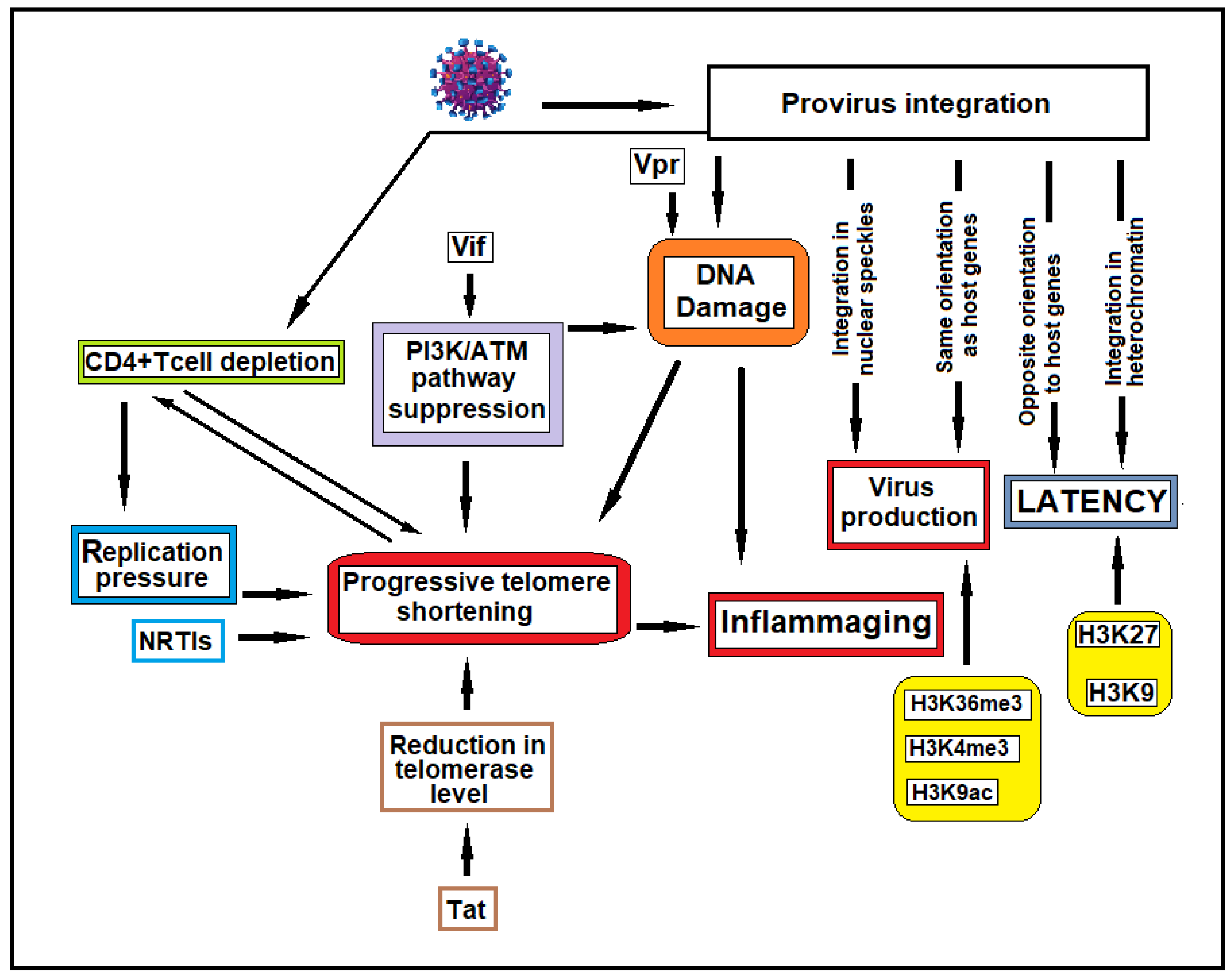 Preprints 153118 g002
