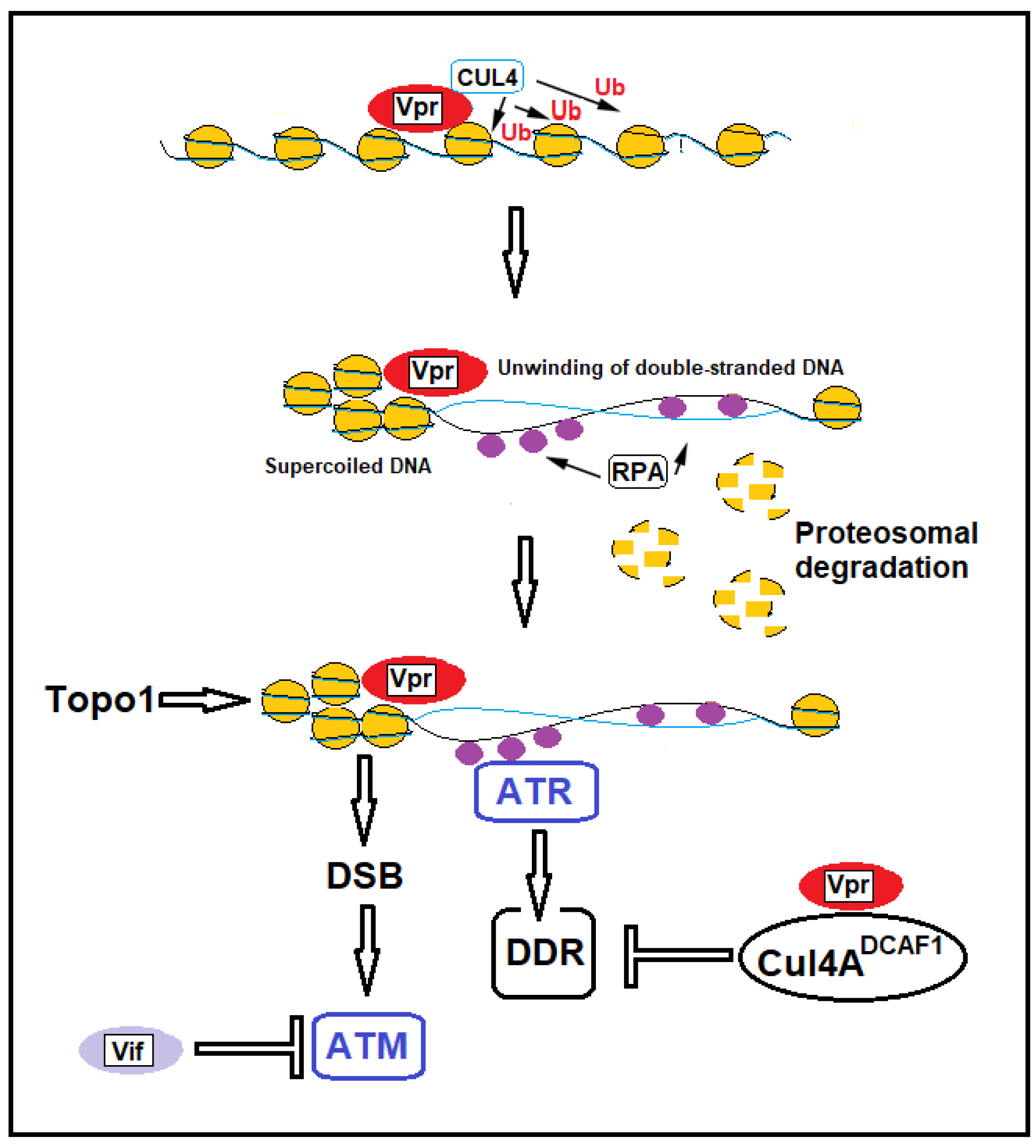 Preprints 153118 g003