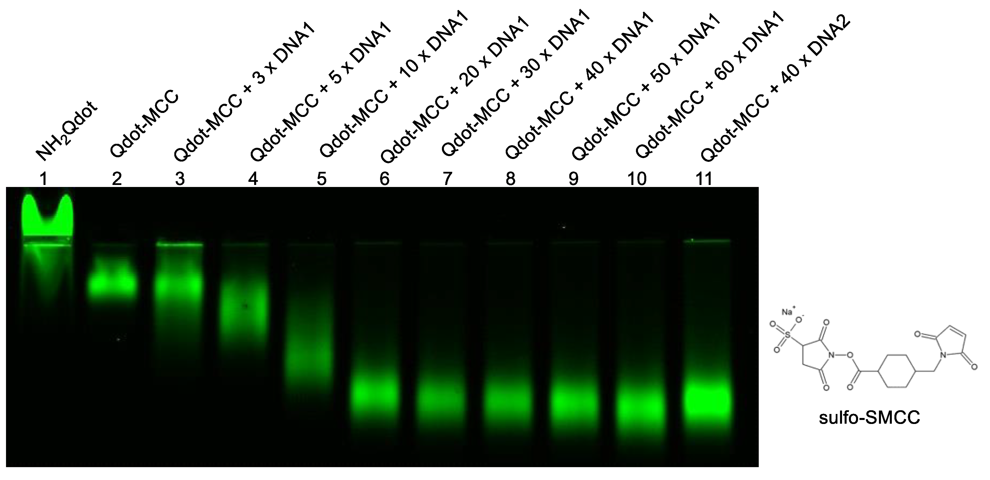 Preprints 192428 g002