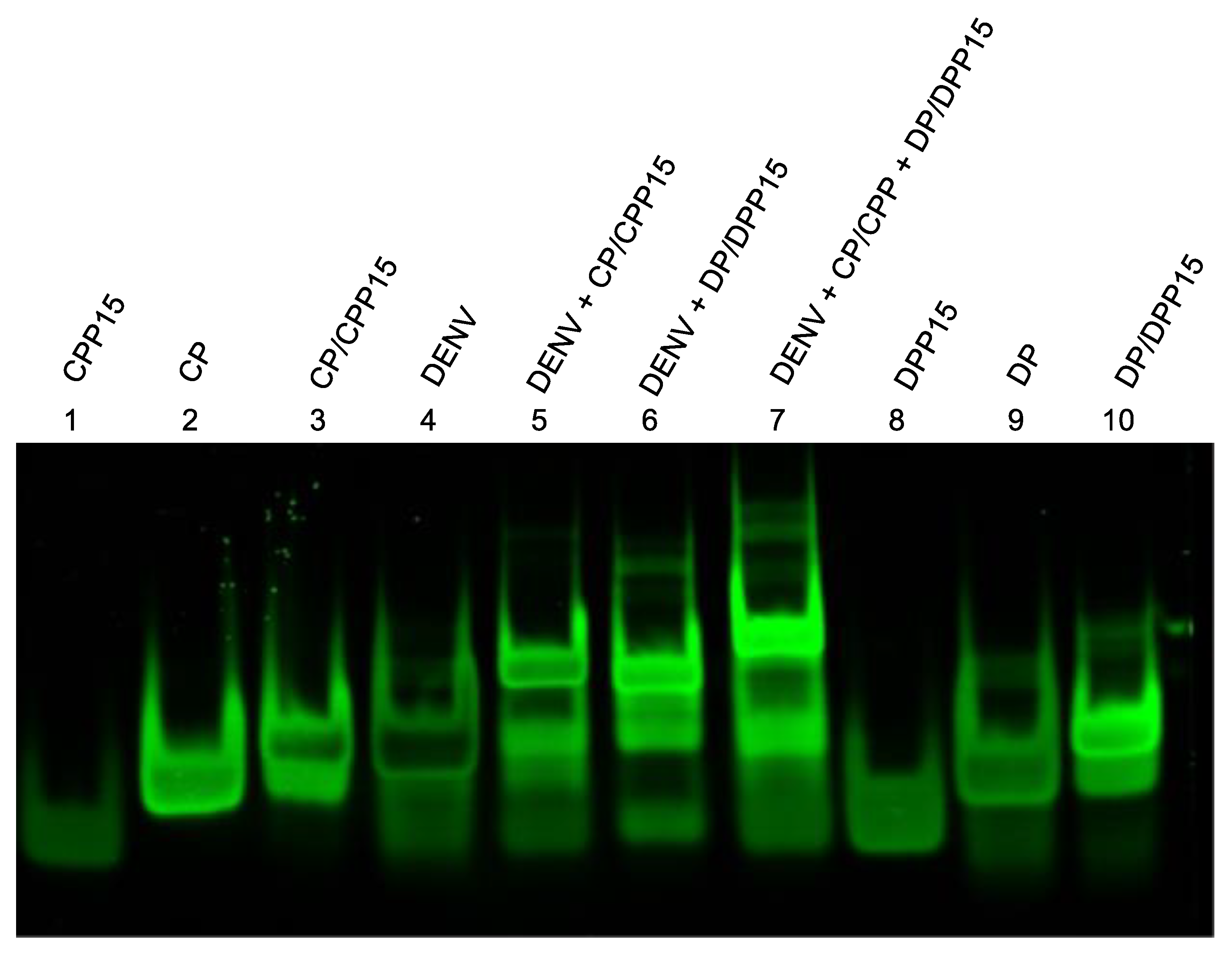 Preprints 192428 g003