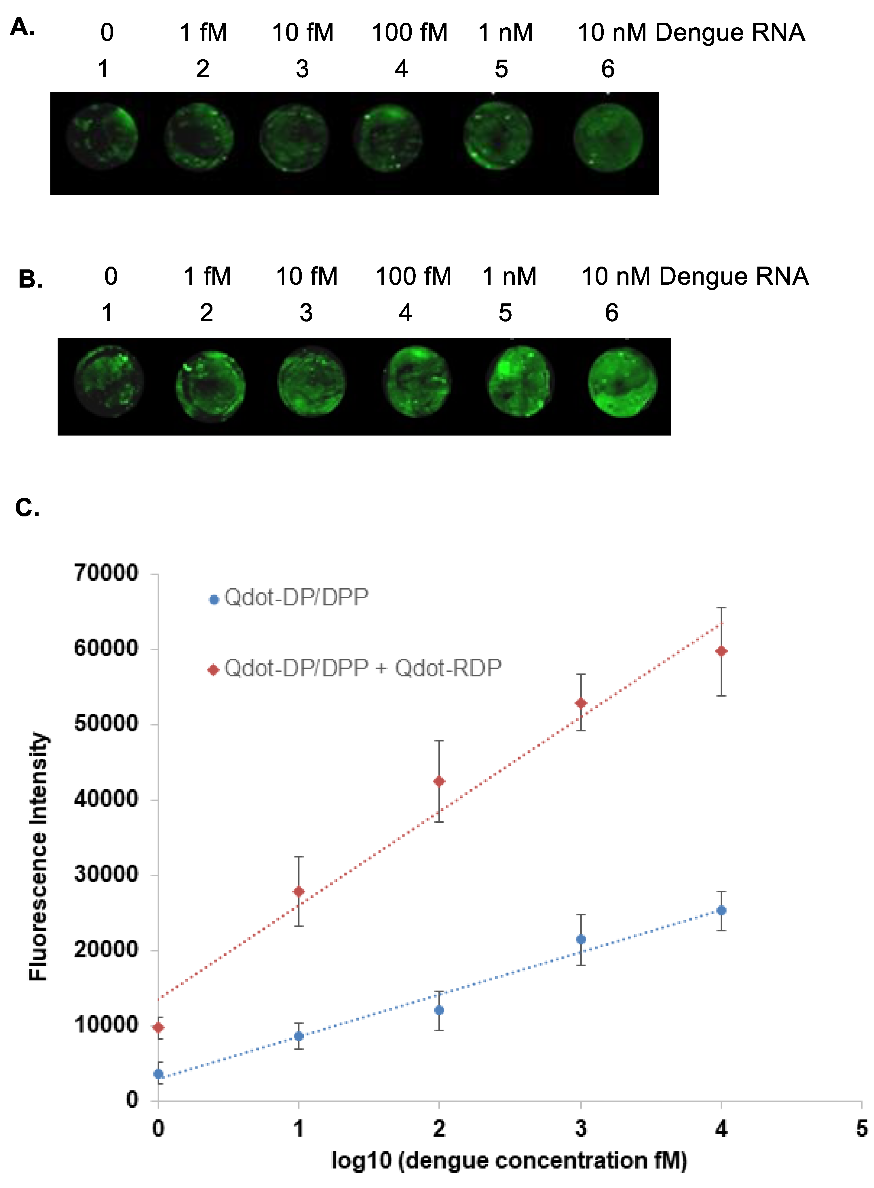 Preprints 192428 g005