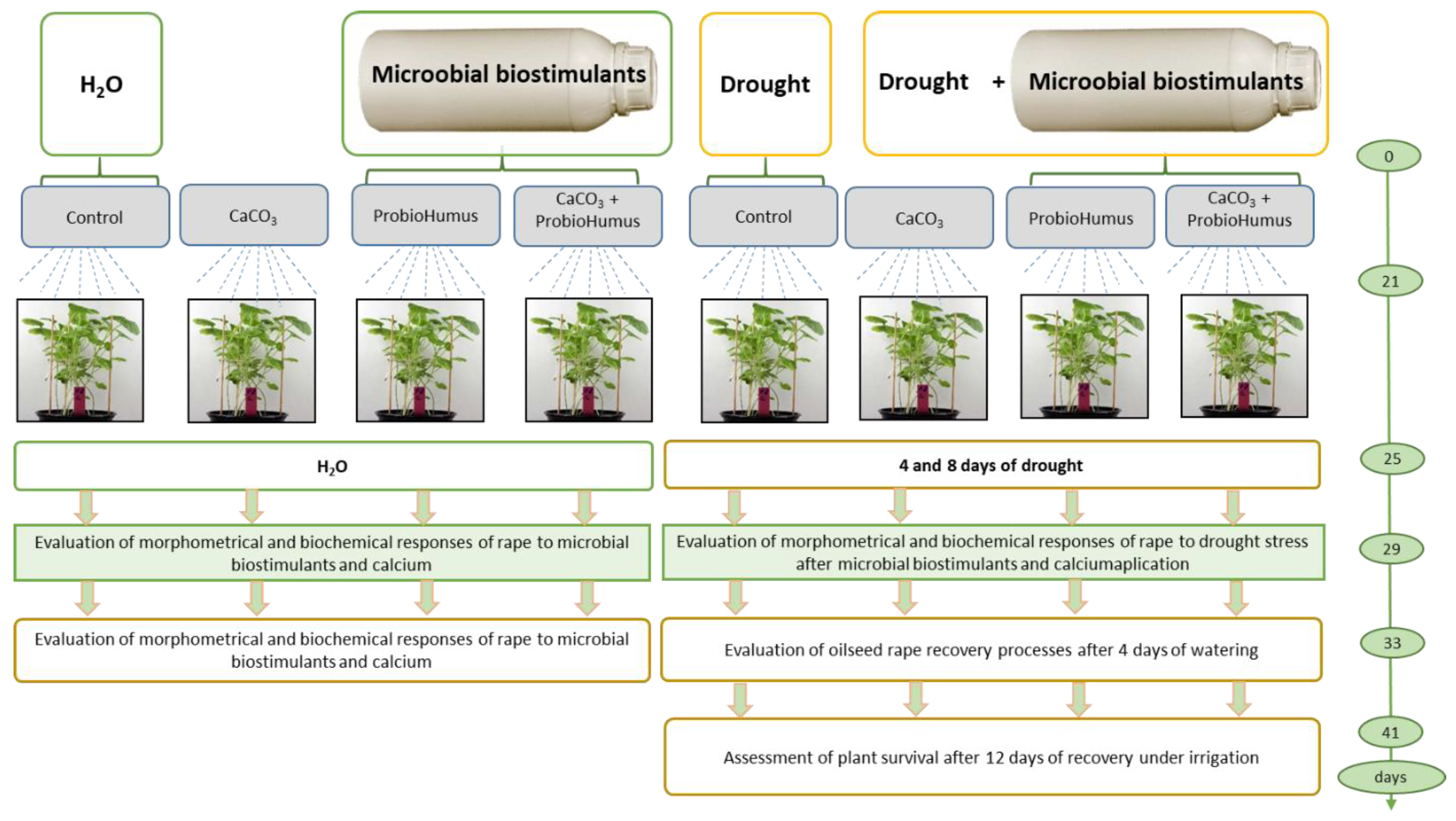 Preprints 148625 g001