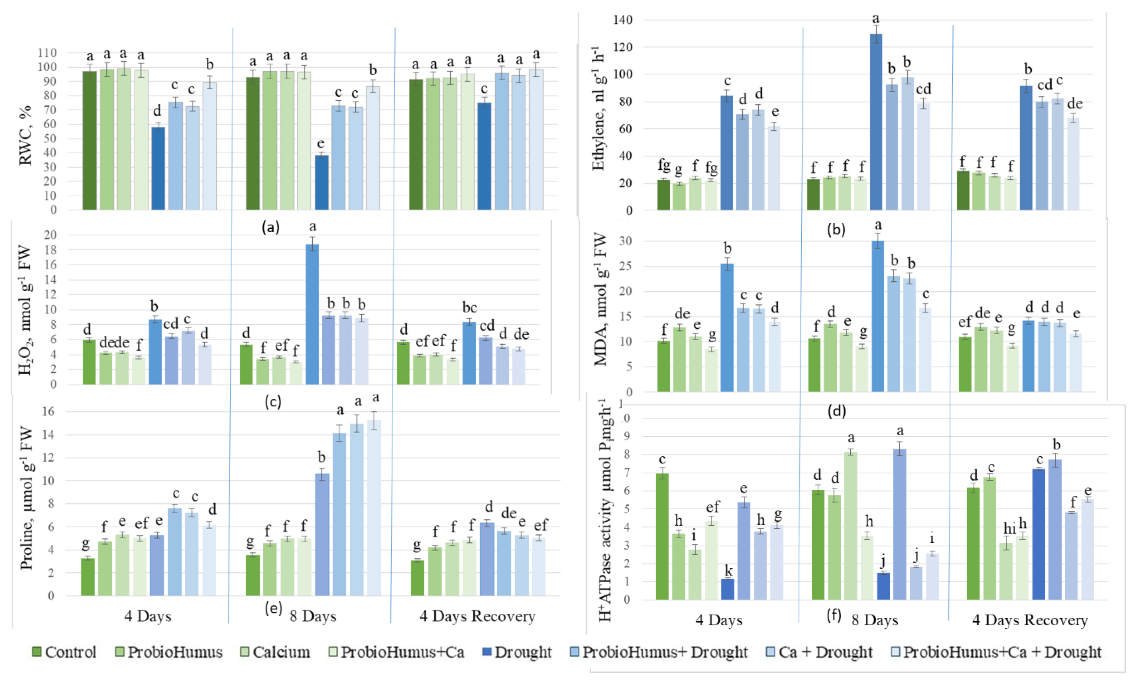 Preprints 148625 g002