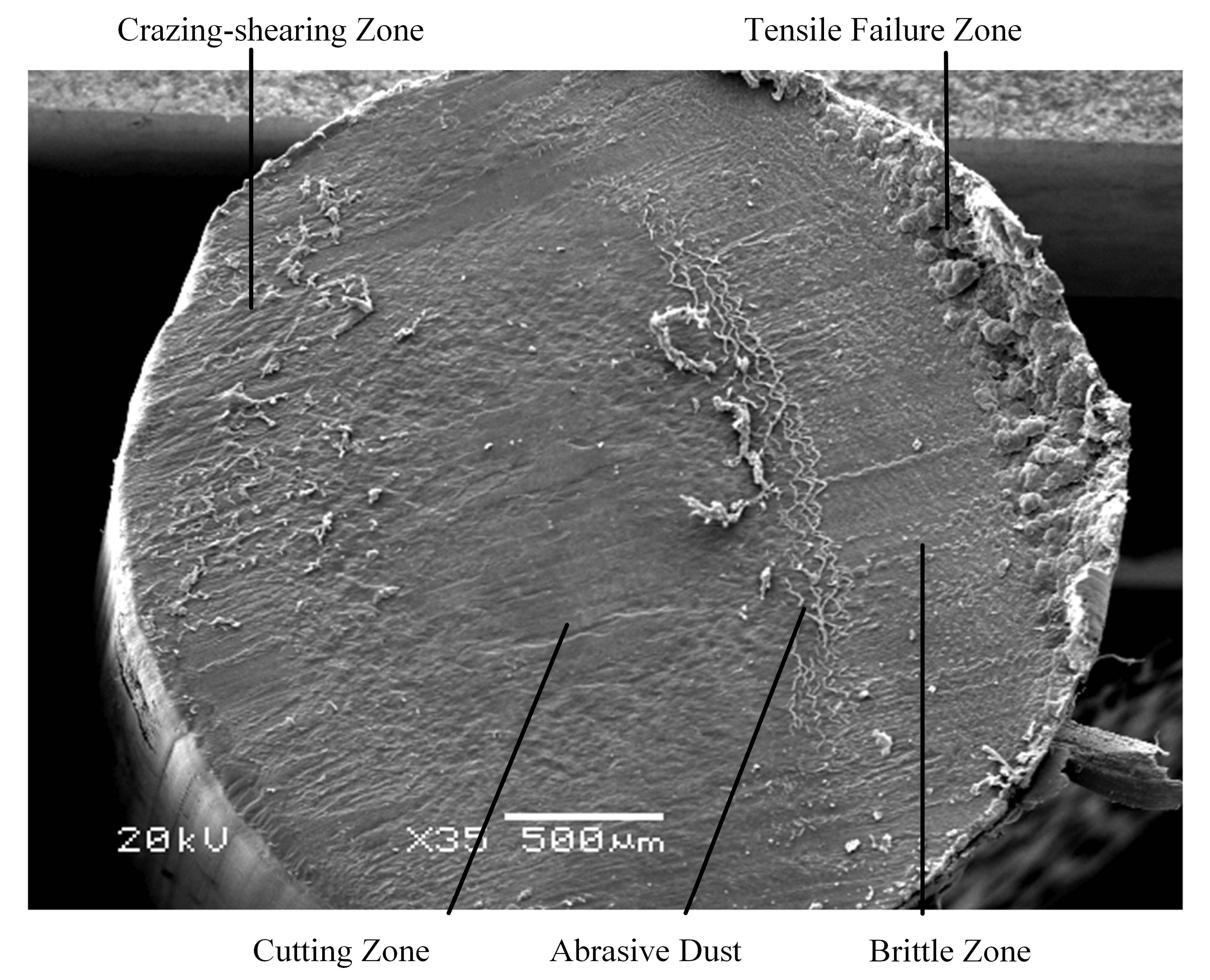 Fracture Failure Mechanisms of Long Single PA6 Fibers[v1]