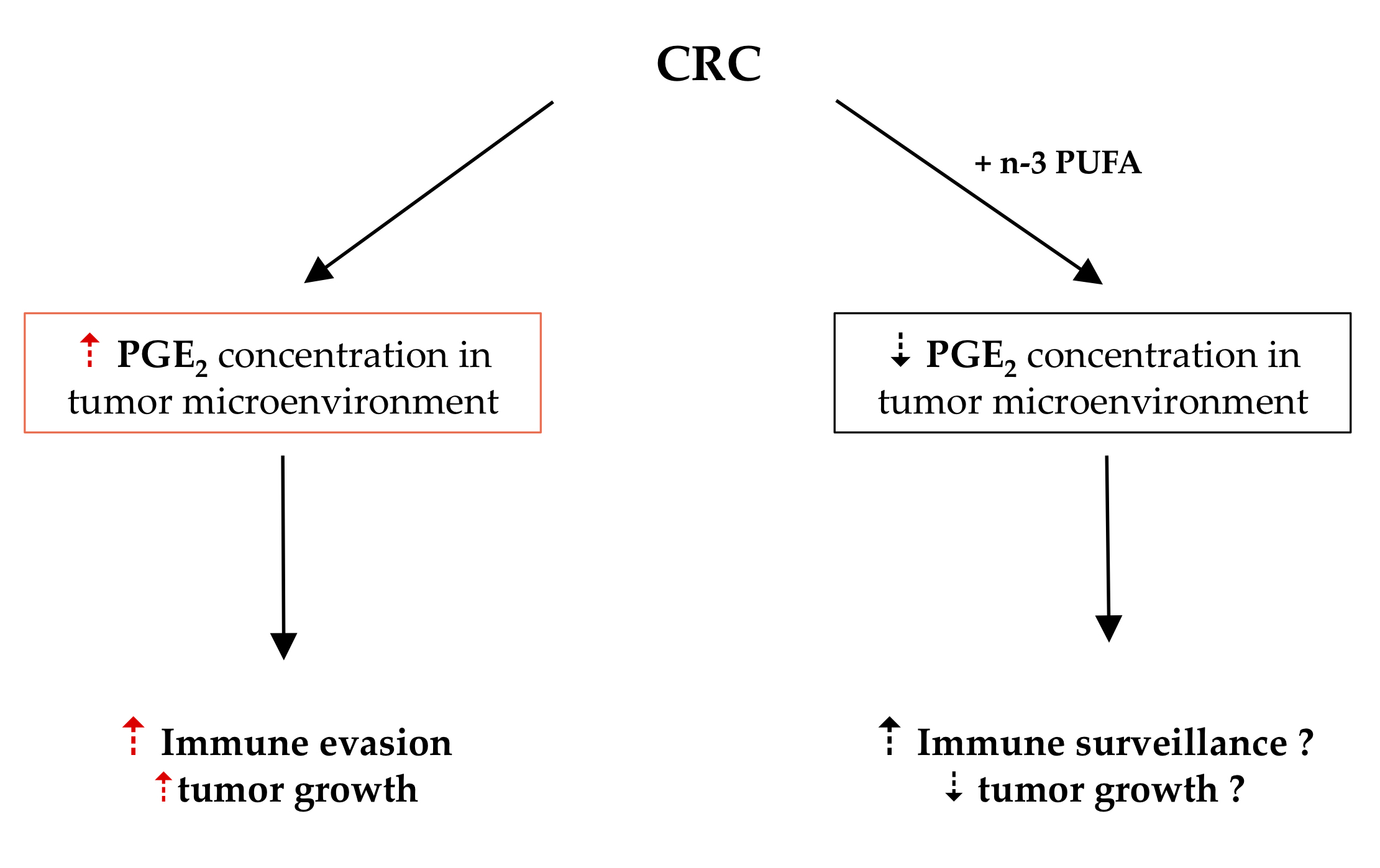 Omega 3 Fatty Acid Supplementation A Possible Dietary Adjunct To Enhance Immune Therapy In Cancer V1 Preprints