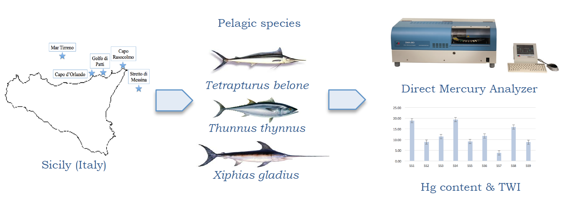 Investigation of Hg Content by a Rapid Analytical Technique in  Mediterranean Pelagic Fishes[v1]