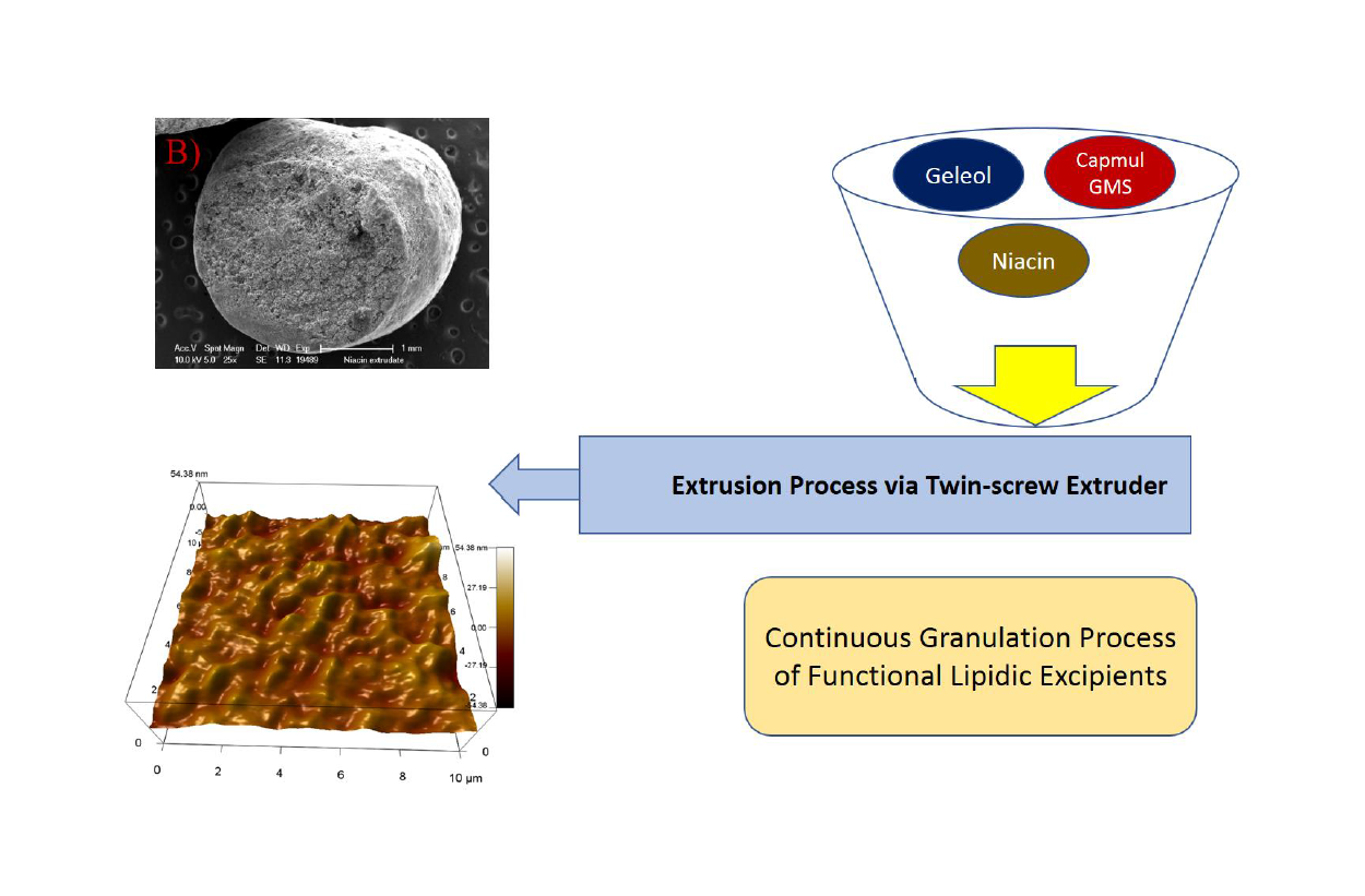 Influence Of Different Meltable Binders On The Solid State Behaviour And Dissolution Profiles Of Solid Lipid Extrudates Processed Via Continuous Hot Melt Granulation V1 Preprints
