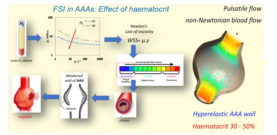 Fluid Structure Interaction In Abdominal Aortic Aneurysms Effect Of Haematocrit V1 Preprints