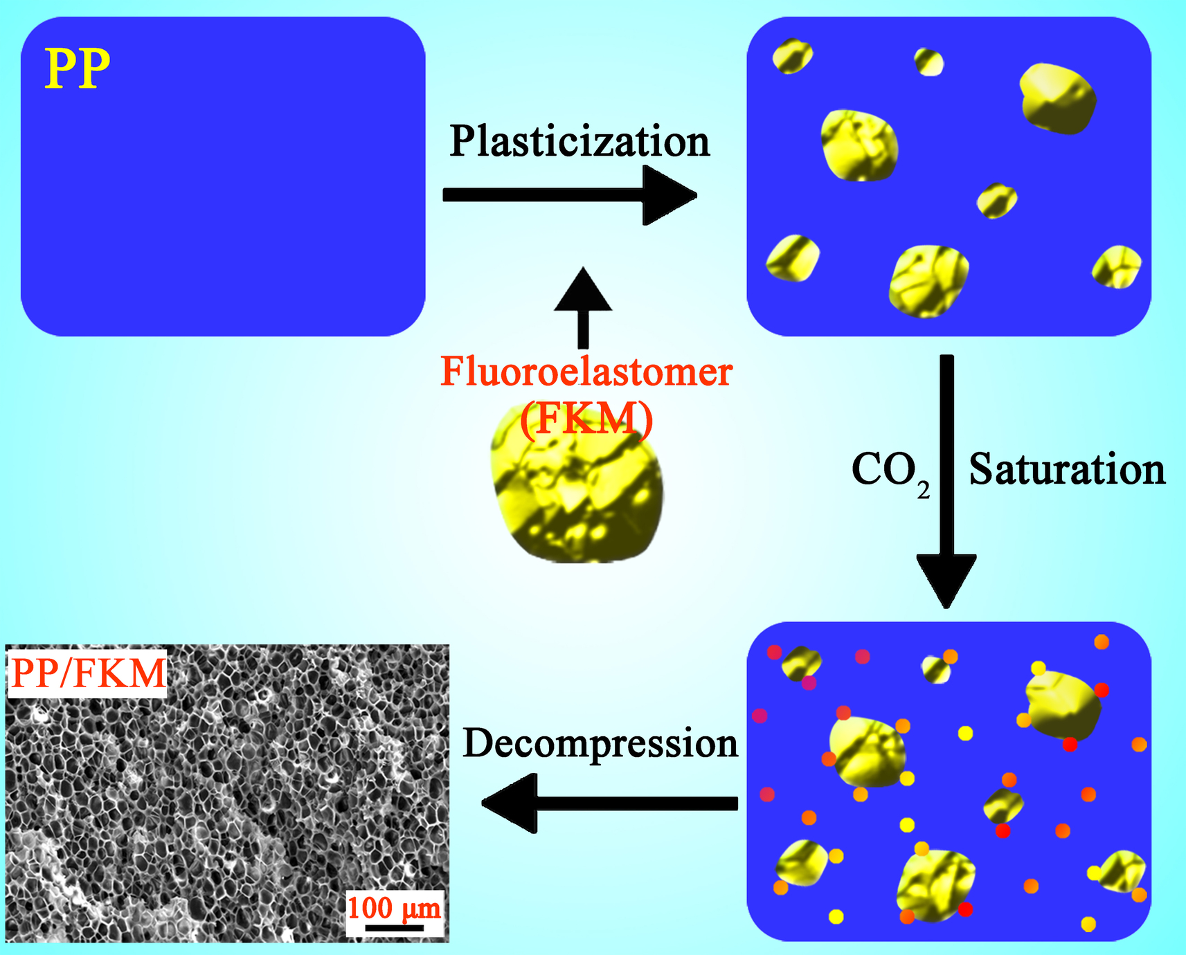 Improving the Supercritical CO2 Foaming of Polypropylene by the