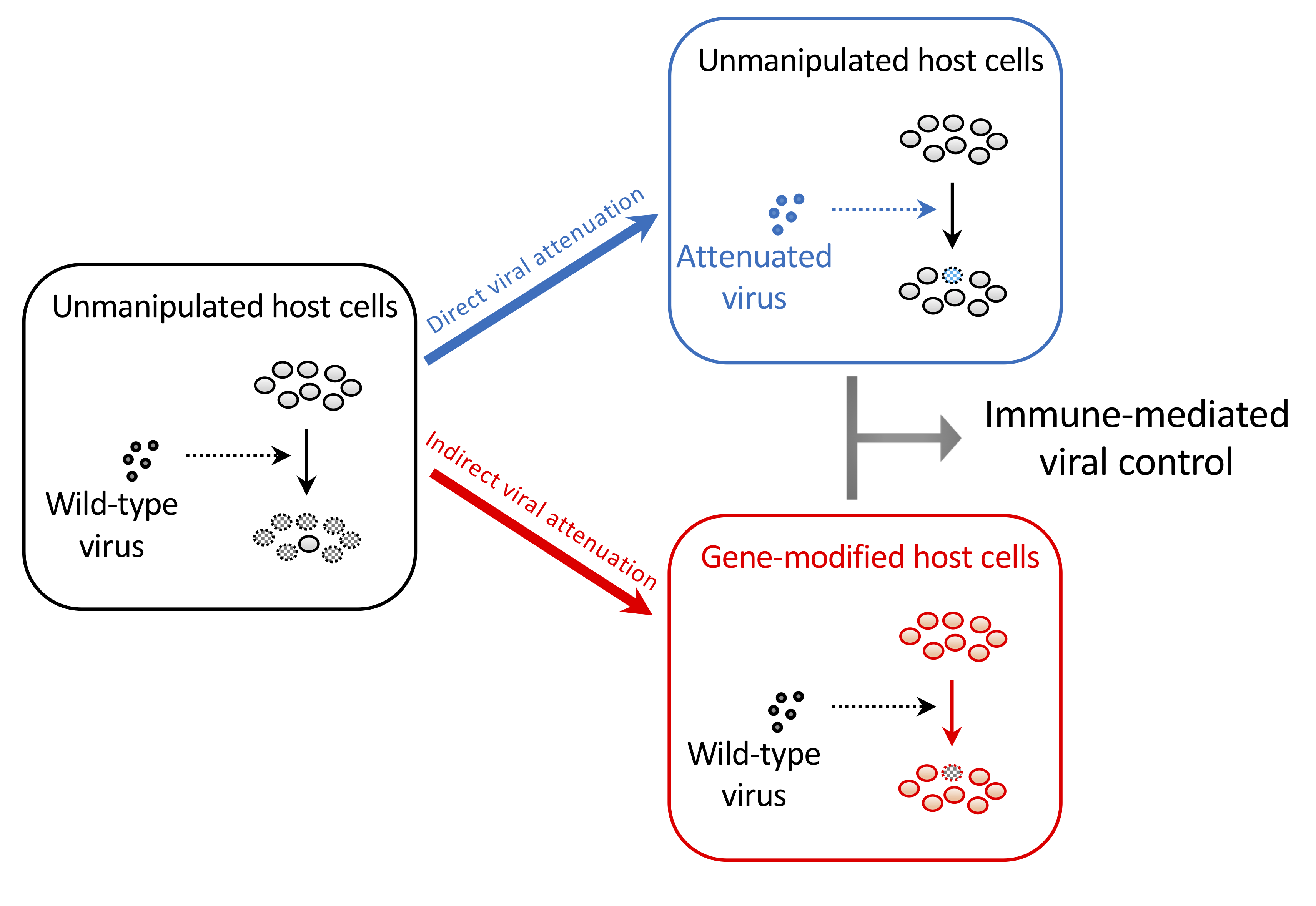 Gene Therapy Approaches To Functional Cure And Protection Of Hematopoietic Potential In Hiv Infection V1 Preprints