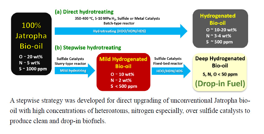Hydrotreating Of Jatropha Derived Bio Oil Over Mesoporous Sulfide Catalysts To Produce Drop In Transportation Fuels V1 Preprints