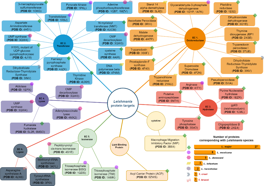 Leishmania Proteomics An In Silico Perspective V2 Preprints