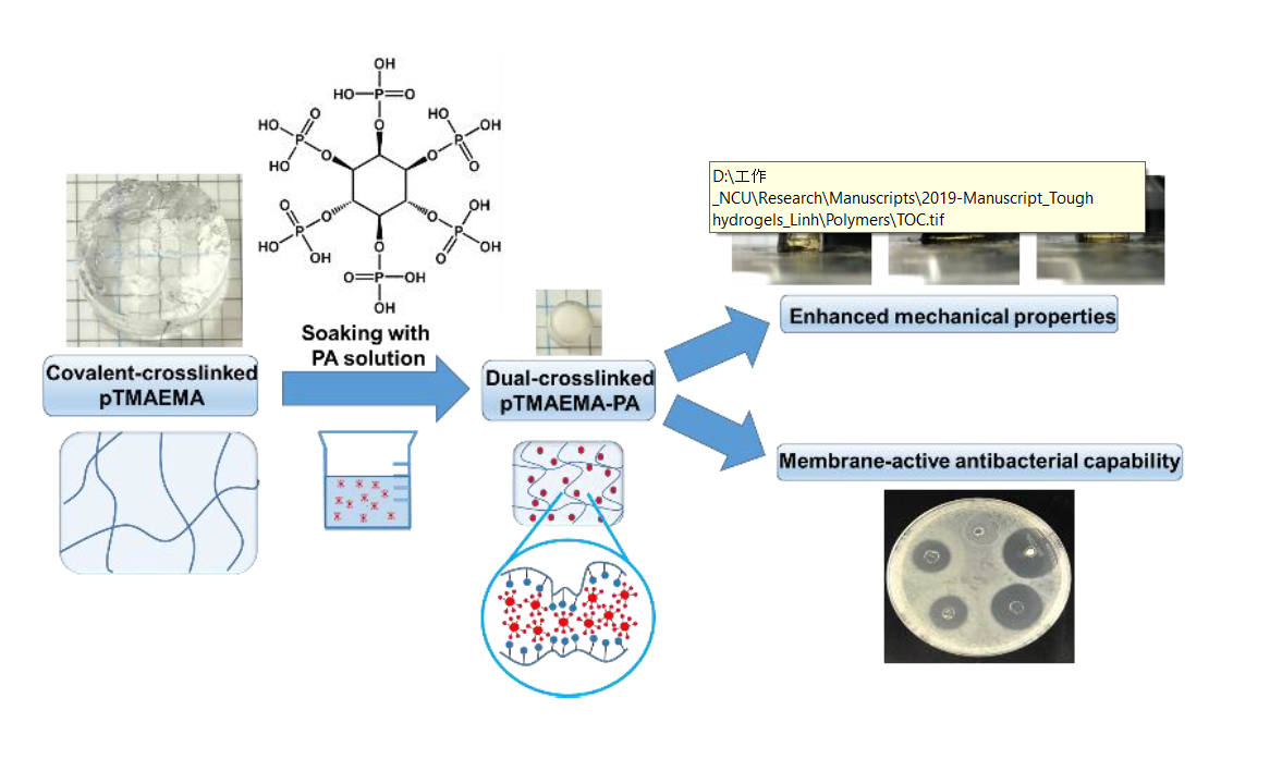 Tough Polyelectrolyte Hydrogels With Antimicrobial Property Via Incorporation Of Natural Multivalent Phytic Acid V1 Preprints
