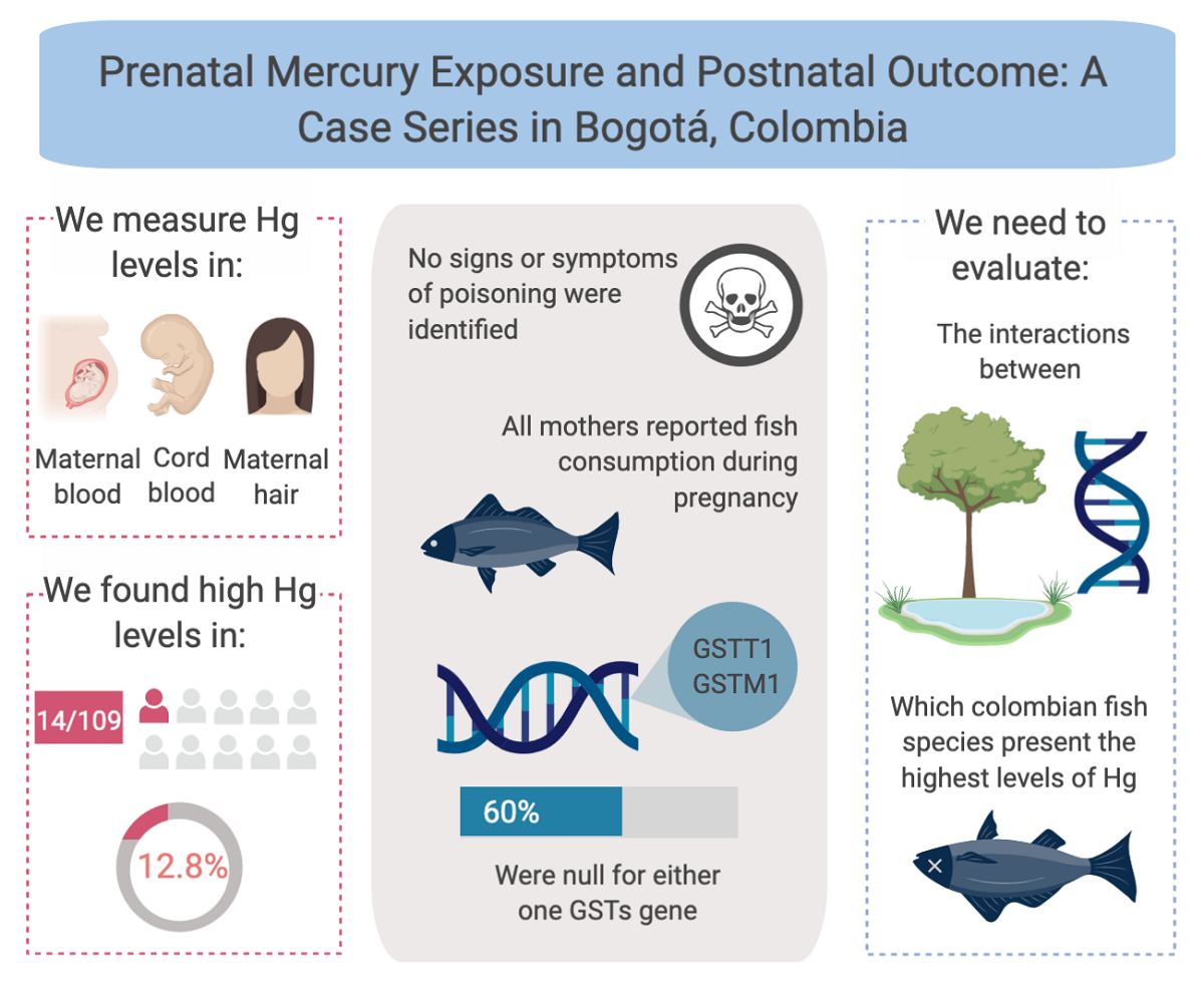 Prenatal Mercury Exposure and Postnatal A Case Series in